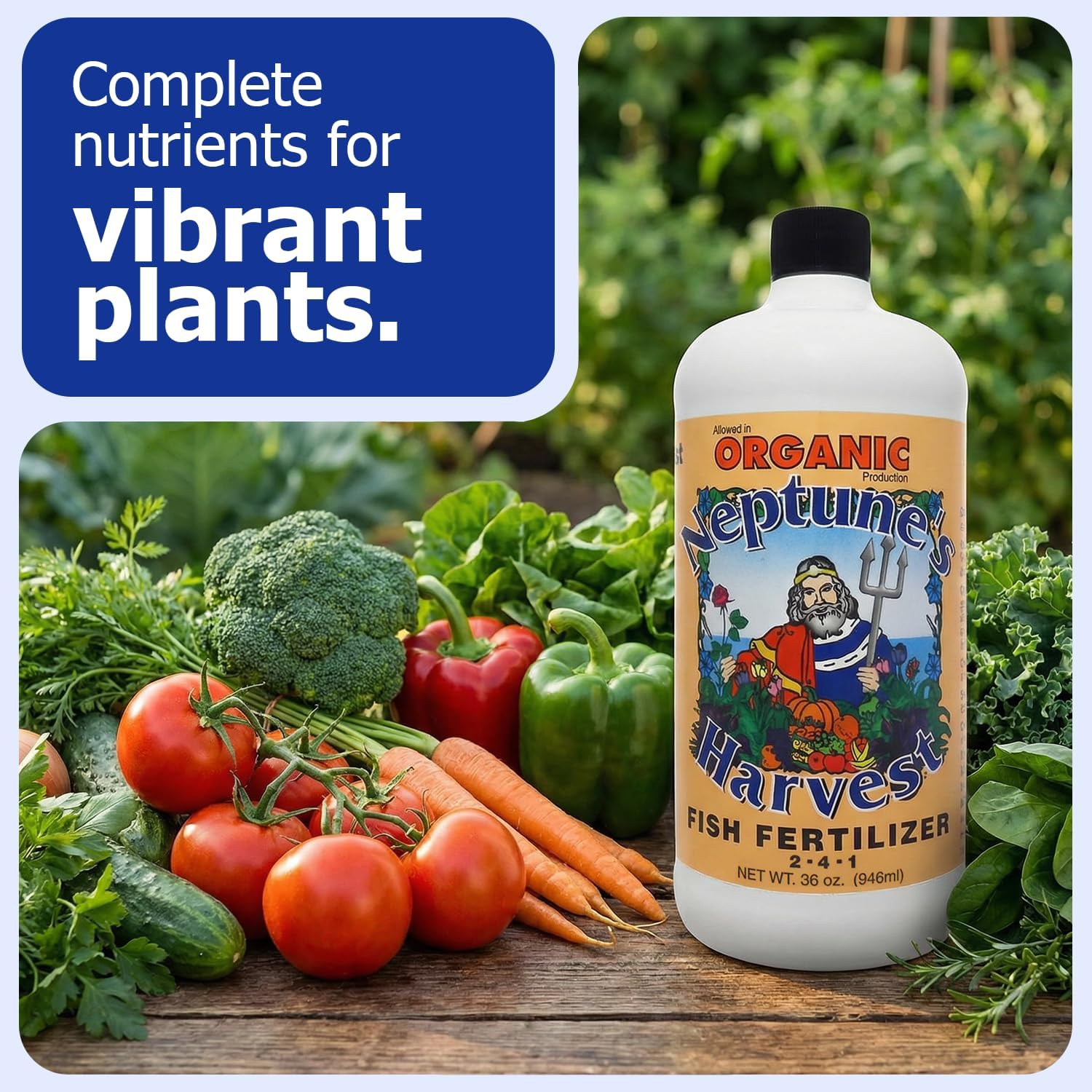 Neptune's Harvest Fish Fertilizer (2-4-1) - Organic Liquid Plant Fertilizer - Fish Hydrolysate for Vegetables, Flowers, Fruit, Trees, Grass - Indoor and Outdoor Plant Food (Gallon)