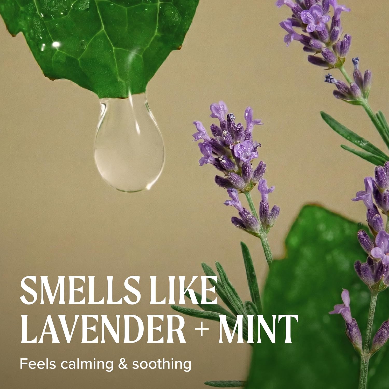 Tea Tree Lavender Mint Taming Cream, Rich Hair Styling Cream, For Coarse, Curly + Dry Hair, 3.4 fl. oz.