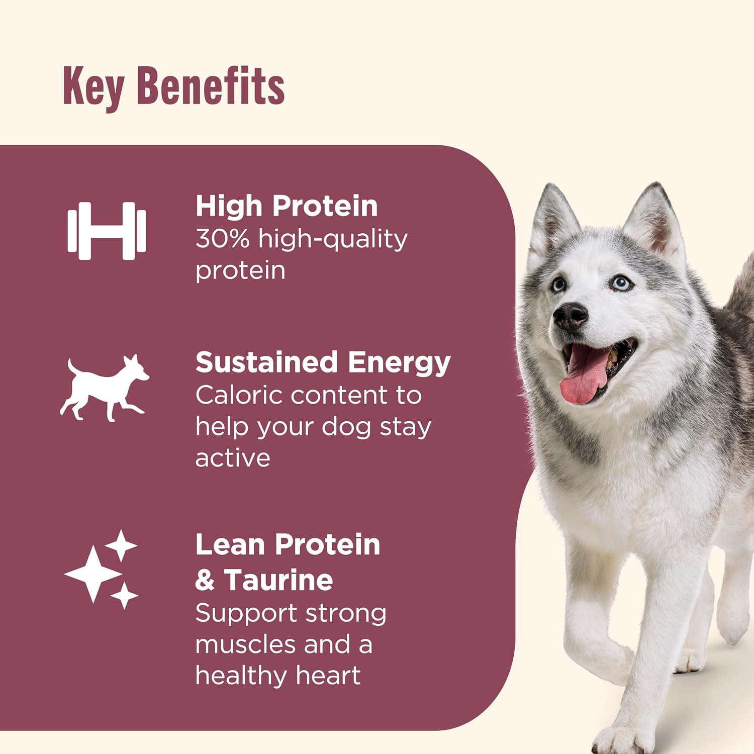 Nutrish High Protein Dry Dog Food, 23 lb. Bag (Rachael Ray)