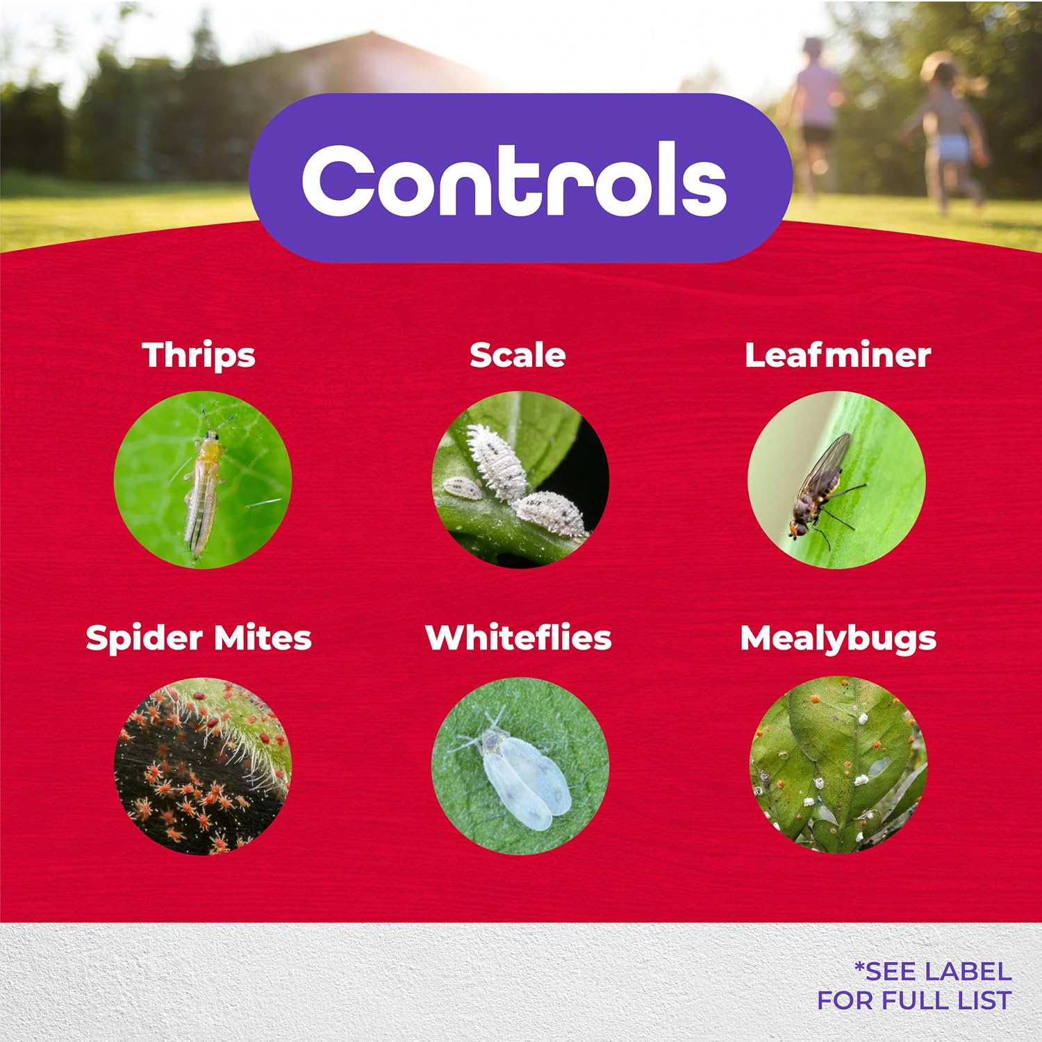 Bonide Systemic Insect Control, 16 oz Concentrate Long Lasting Insecticide for Outdoor Gardening, Makes 16 Gallons | Long Lasting Insecticide
