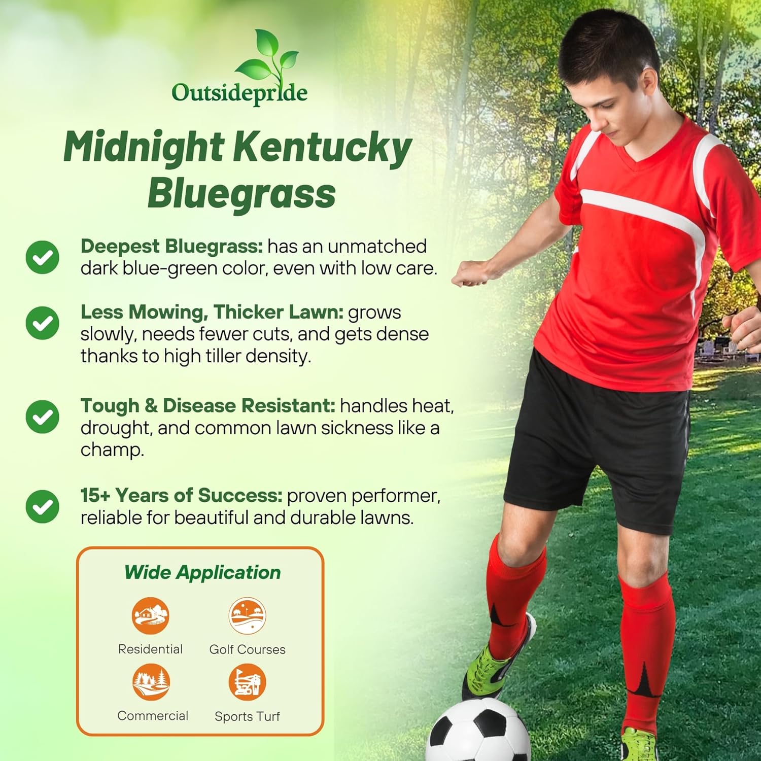 Outsidepride Midnight Kentucky Bluegrass Seed - 10 Lbs. Cold & Drought Tolerant, Sun-Loving Lawn Grass Seed, w/High Traffic Tolerance & Deep Root System, OptiGrowth Coated for Better Establishment