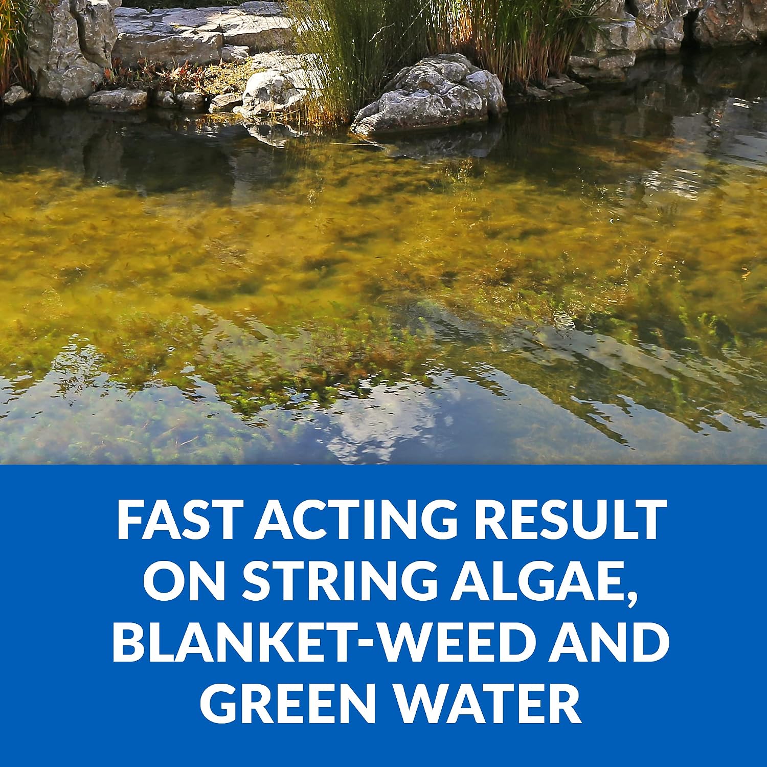 CrystalClear Algae D-Solv EPA Registered Pond Algaecide, 1 Gallon | Fast-Acting algae control for fountains & outdoor ponds containing koi & other fish, 1 gal treats 46,080 gallons.