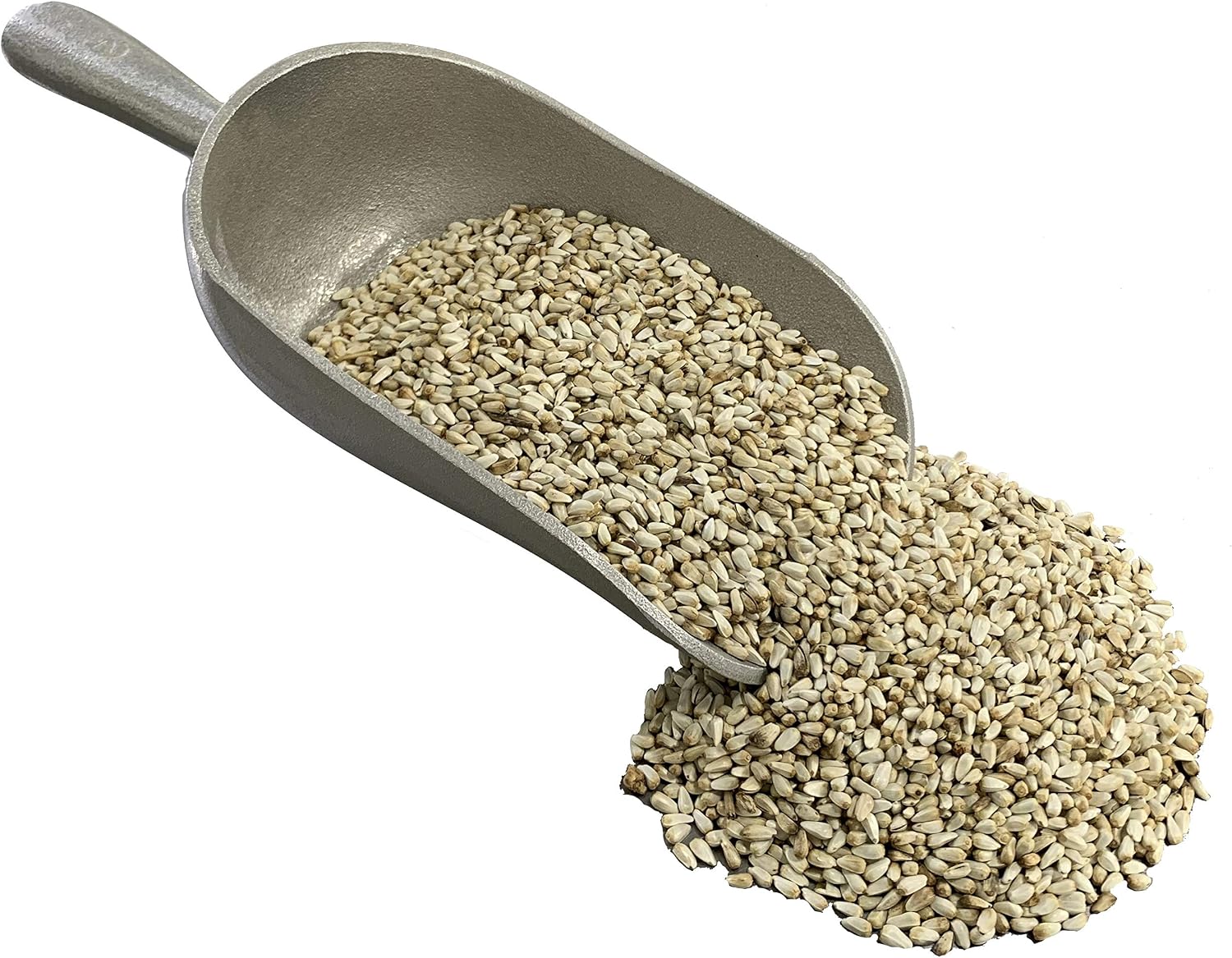 Safflower Wild Bird Seed | All-Natural, Premium Bird Seed (8 lbs Resealable Bag)
