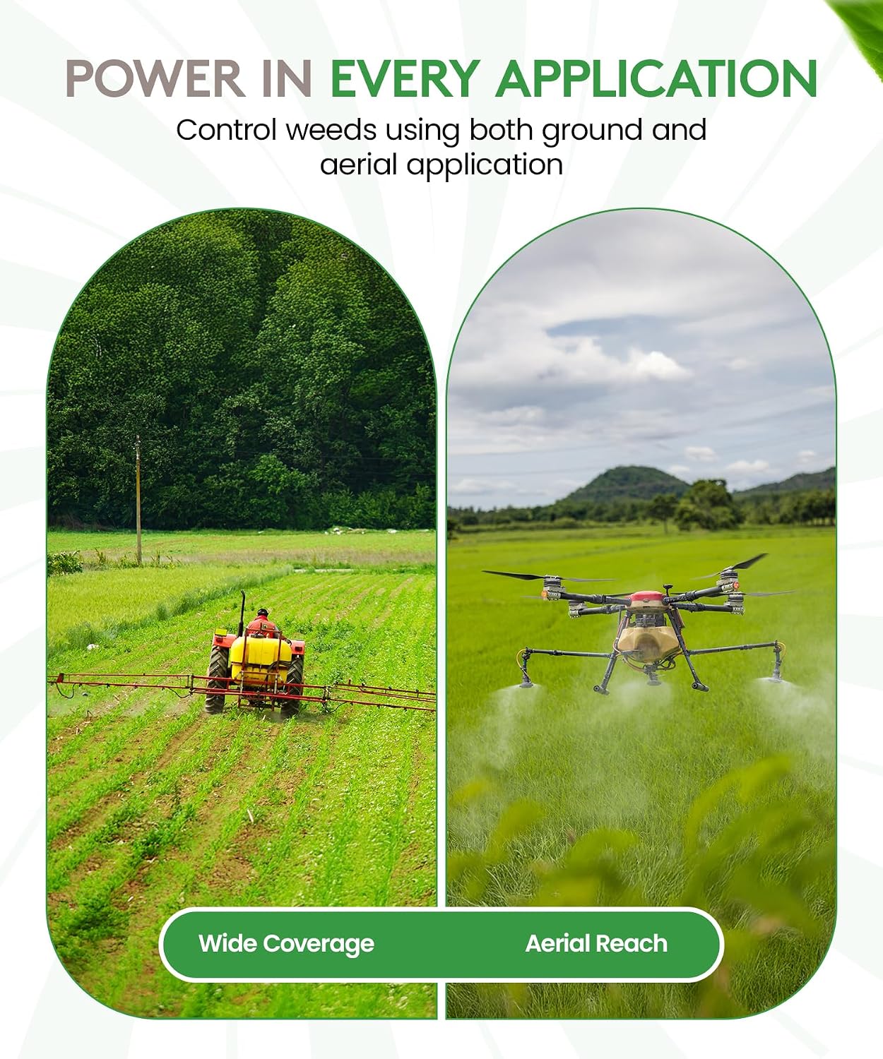ALLIGARE SFM 75 Weed Killer - Broad-Spectrum Pre- and Post-Emergent Weed Killer for Forestry, Rights-of-Way, Industrial & Non-Crop Sites - Low Use Rates, Residual Performance - 3 lb