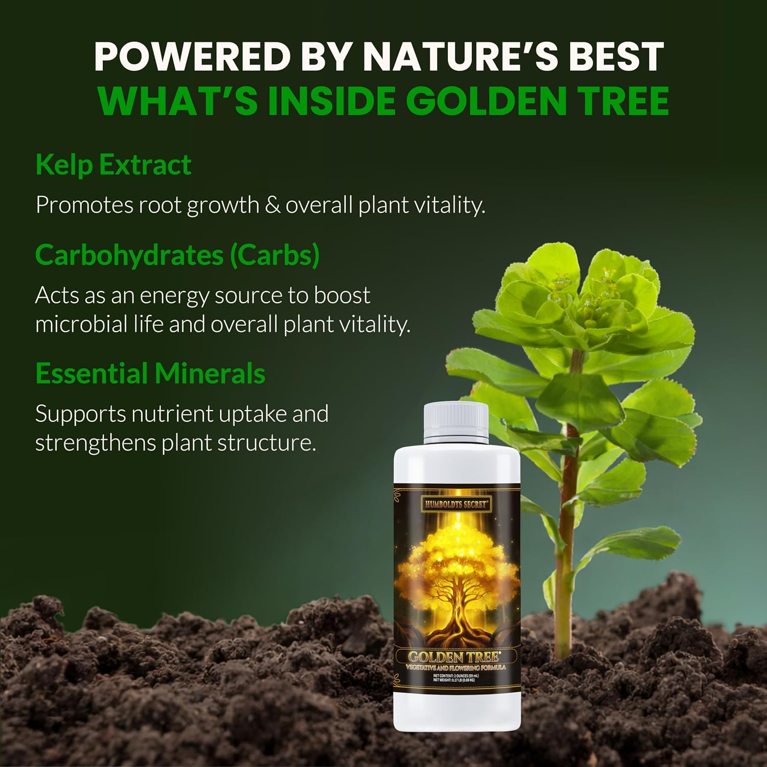 Humboldts Secret Golden Tree Liquid Plant Food | Enhances Growth Indoors or Outdoors | All-in-One Plant Nutrients for Vegetables, Trees, Flowers, Fruits, Roses, Lawns, Tomatoes | 16 Ounce
