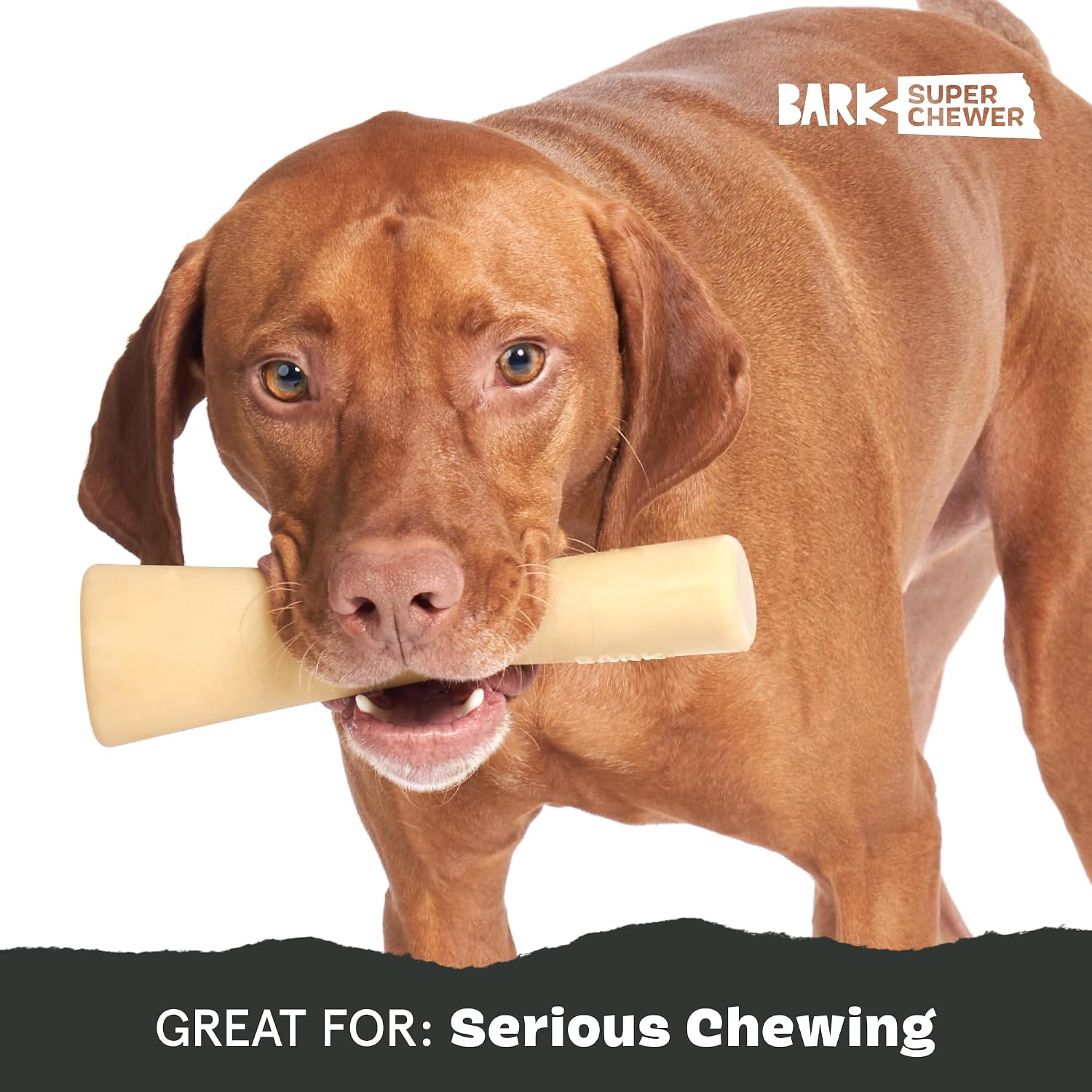 BarkBox Turkey Super Chewer - Toy for Large Dogs
