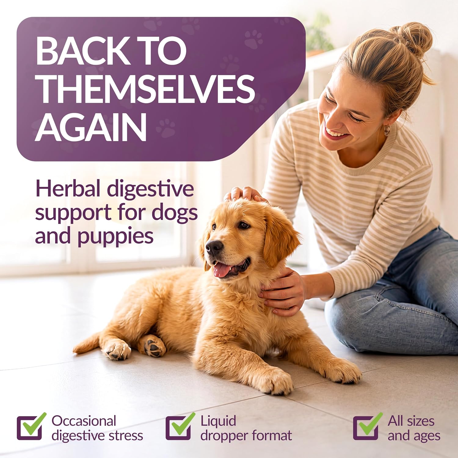Amber NaturalZ Paxaid Dog Digestive Rescue Drops, Herbal, 1 FL OZ | Herbal digestive support drops for dogs & puppies; supports gut health, firm stools, normal appetite; USA-made
