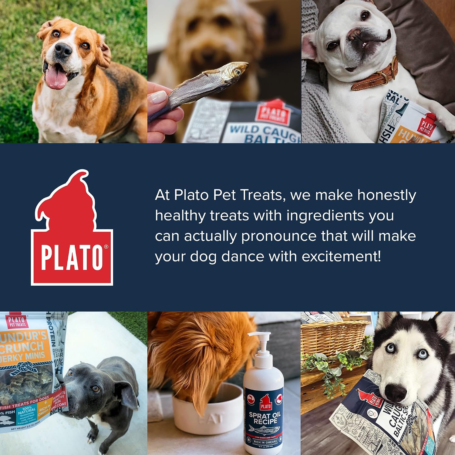 PLATO Single Ingredient Wild-Caught Baltic Sprat Dog Treats, Air-Dried Whole Fish, Omega-Rich Skin & Coat Support, 3 oz