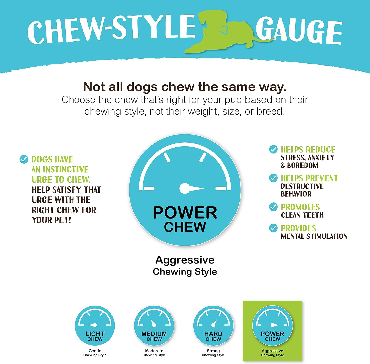 Raw Paws Smoked Beef Marrow Bones for Dogs, 5-6-Inch (4-Count) - Dog Chews