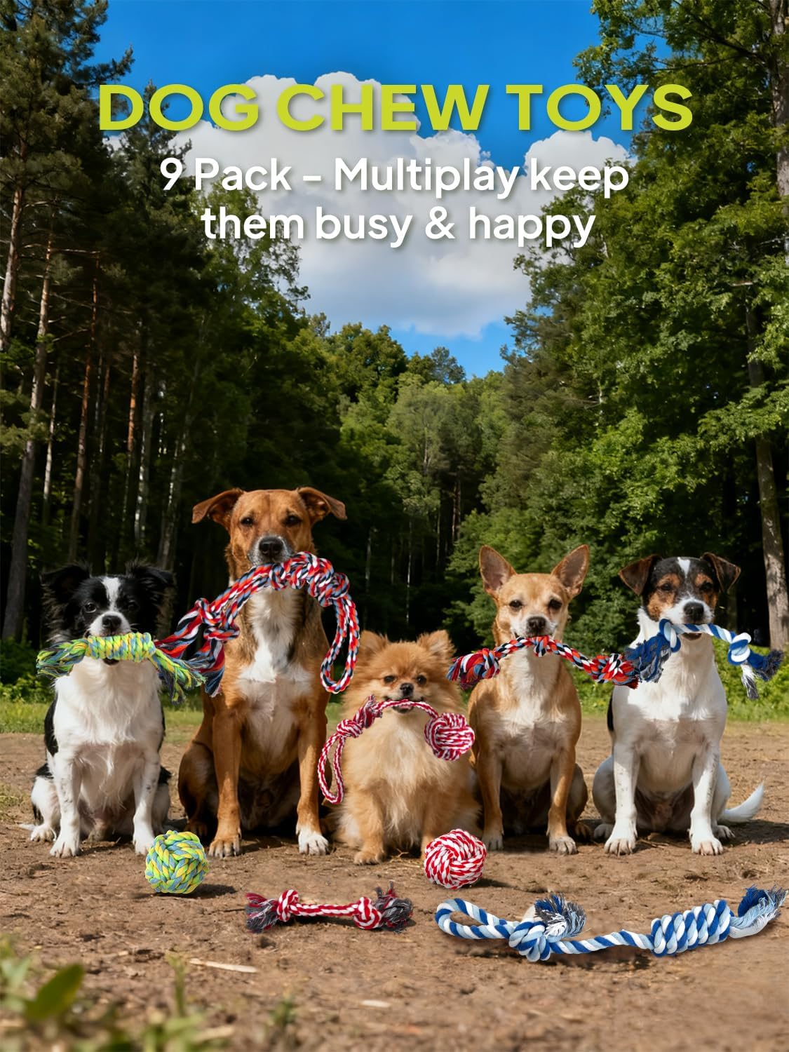 TwoEar Dog Rope Toy 4 Pack - Puppy Teething Toys for Small Breed