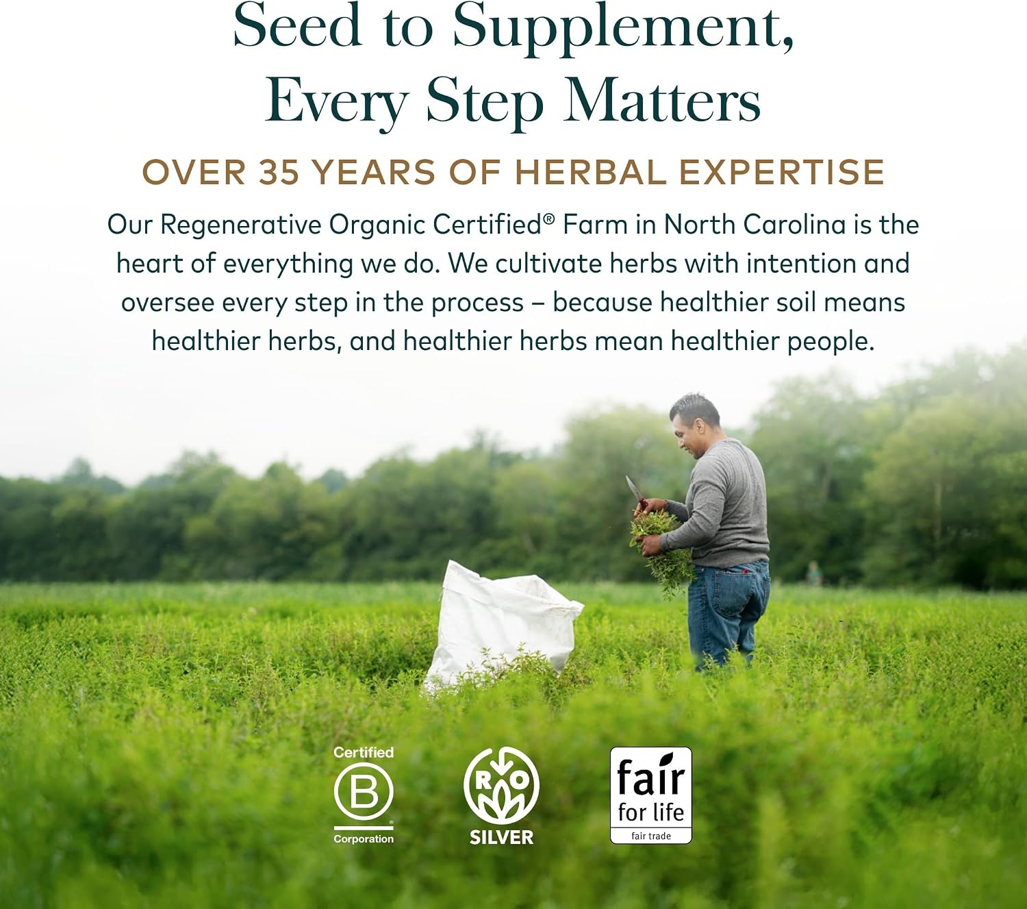 Gaia Herbs Reflux Relief - Digestive Comfort Support Supplement - Aloe Vera, Marshmallow Root, Chamomile