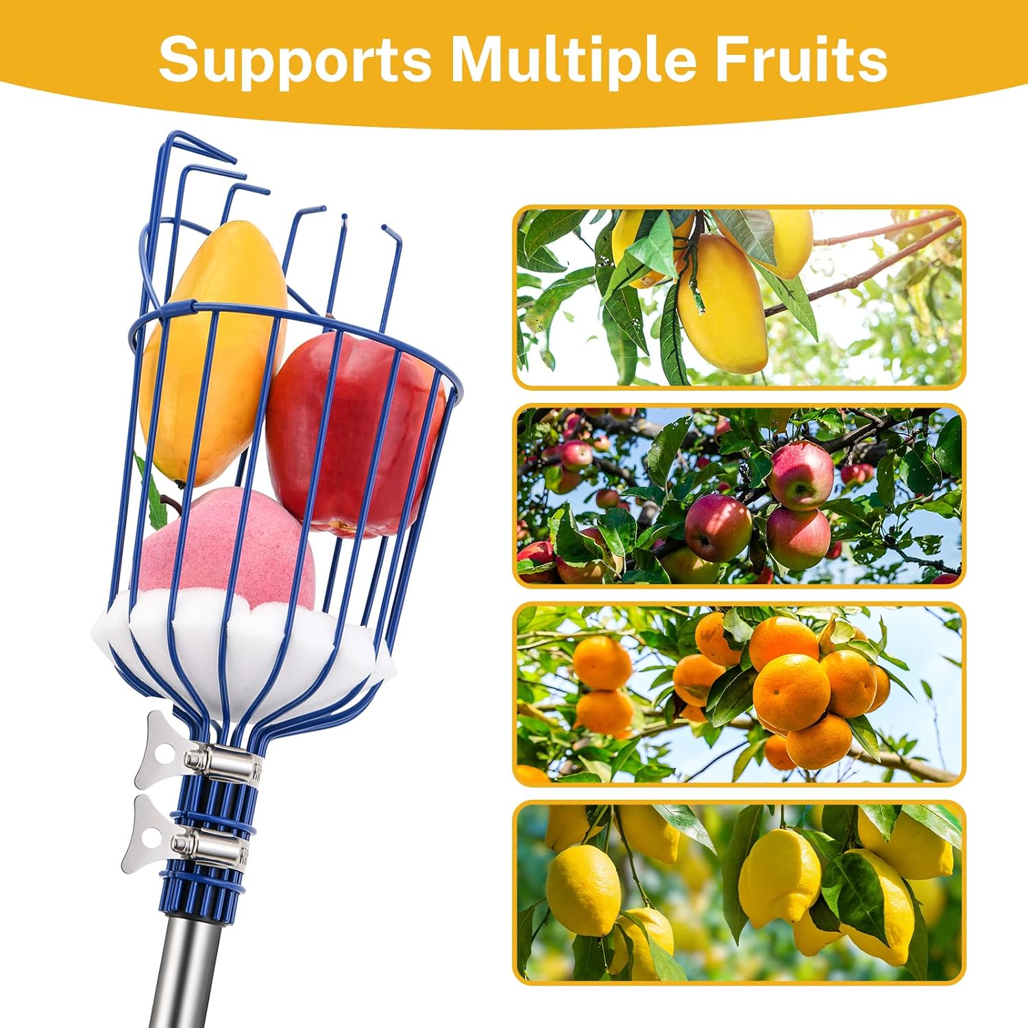Oak Leaf Fruit Picker Pole with Basket, 13 FT Length Adjustable