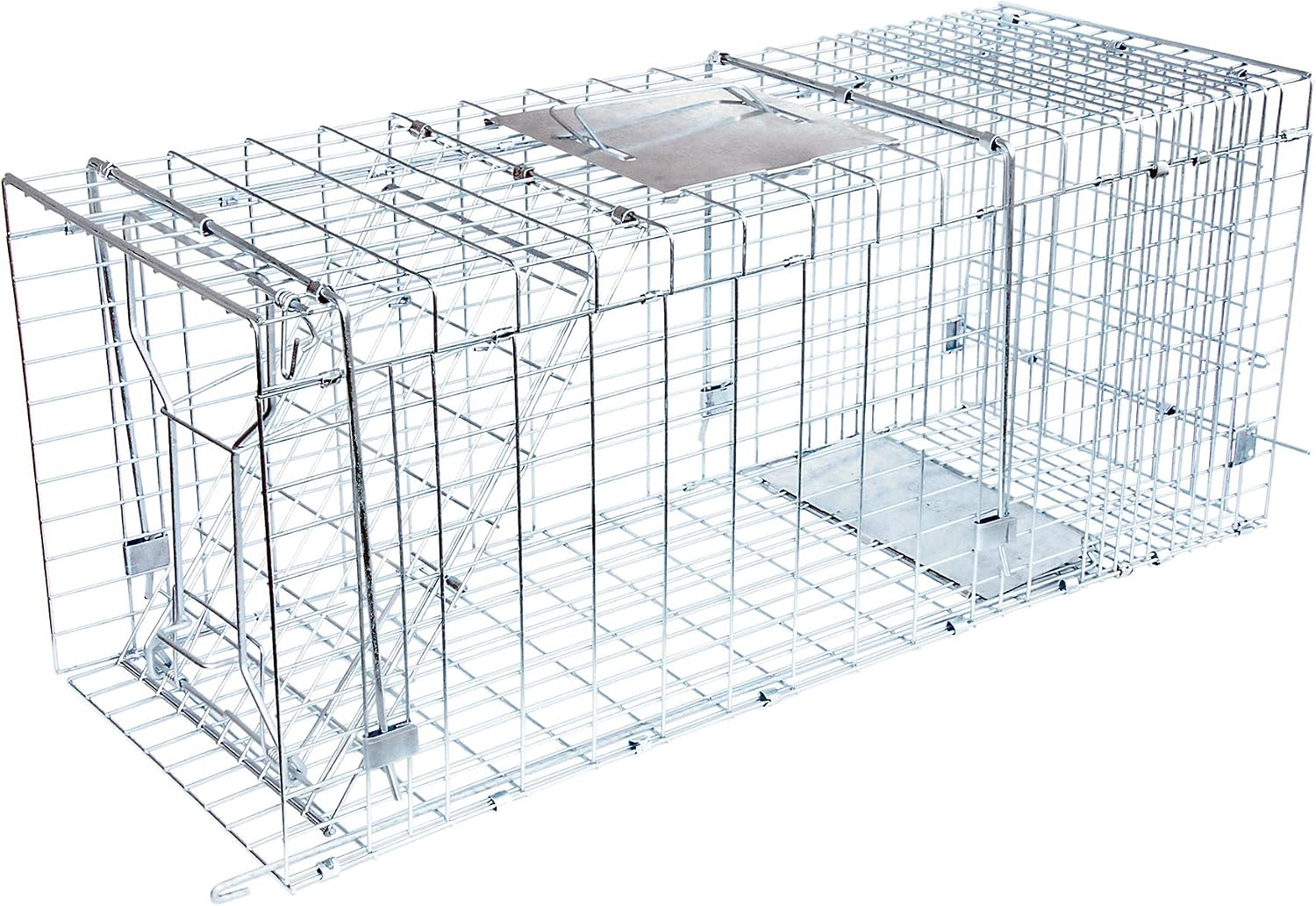 JT Eaton Answer Humane Live Catch Trap for Coyotes & Large Pests | Heavy-Duty Cage Trap; Catches Coyotes, Foxes, and Armadillos; Galvanized Wire; Humane Catch and Release