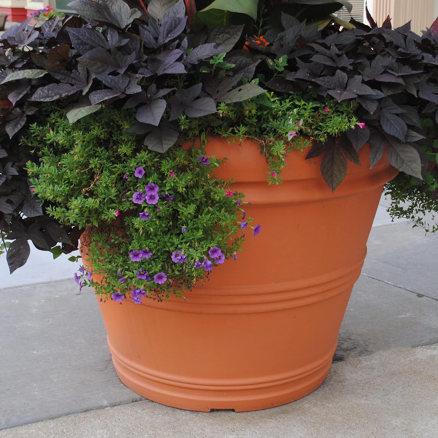 Tusco Products T30 Rolled Rim Pot, Round, Terra Cotta, 30-Inch