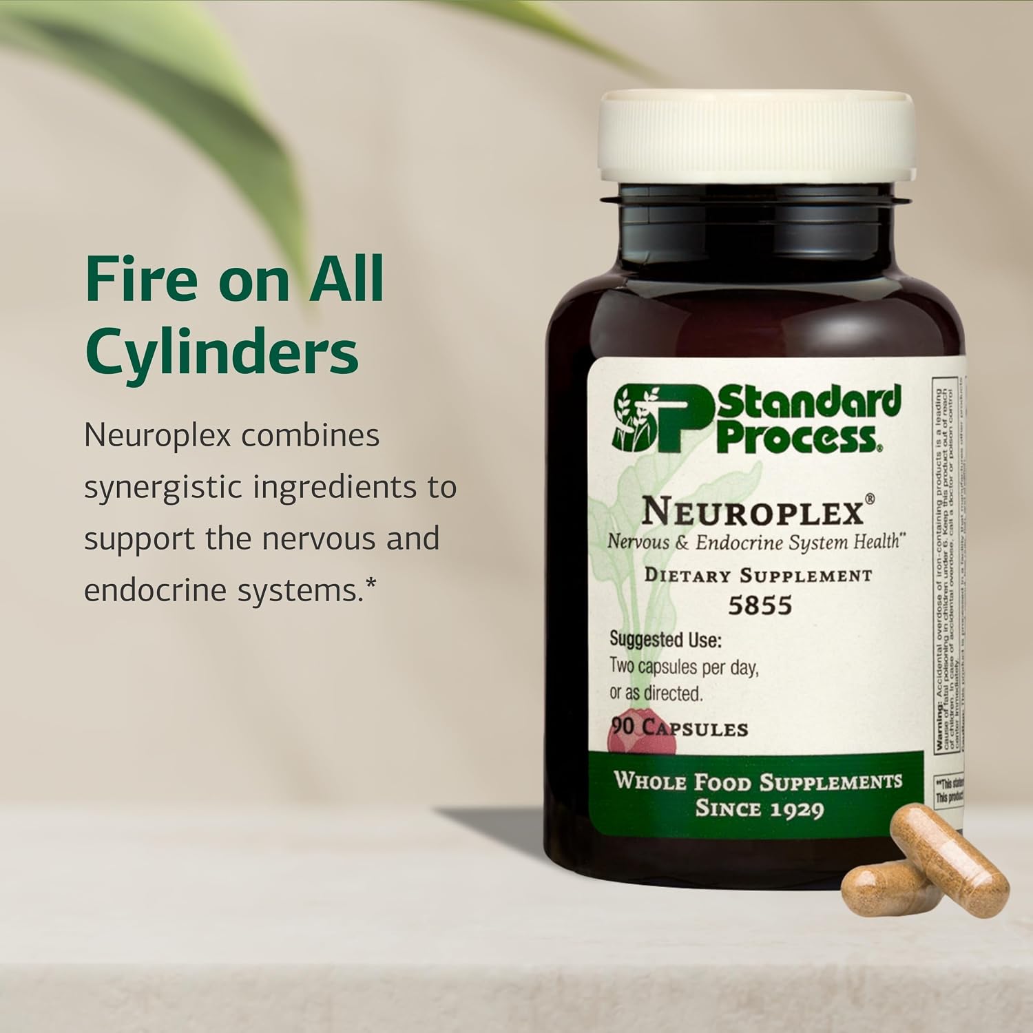Standard Process - Neuroplex - Supports Nervous and Endocrine Systems - 90 Capsules