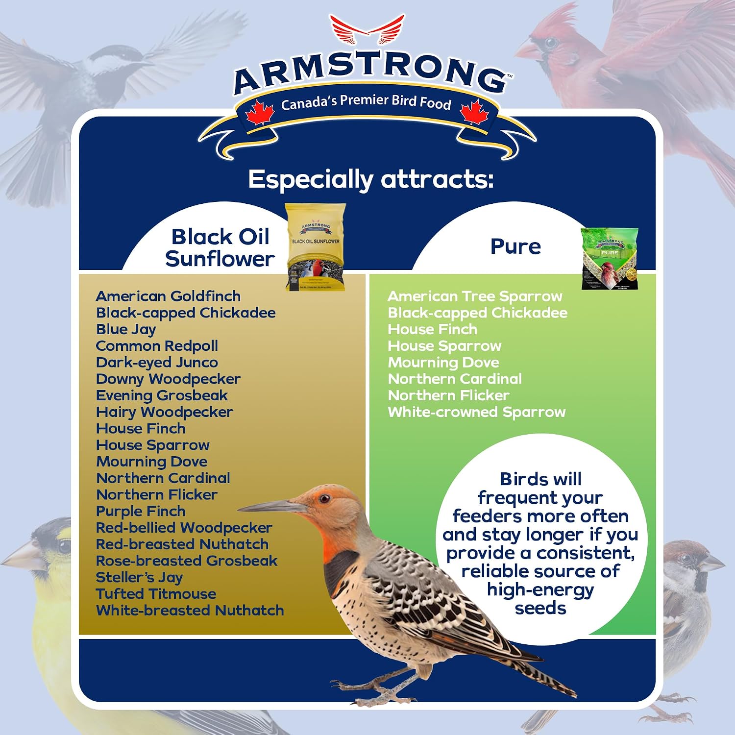 Armstrong Wild Bird Food Royal Jubilee Pure Bird Seed Blend, 20 Pounds - No-Mess, No-Sprouting Formula for Clean & Easy Feeding