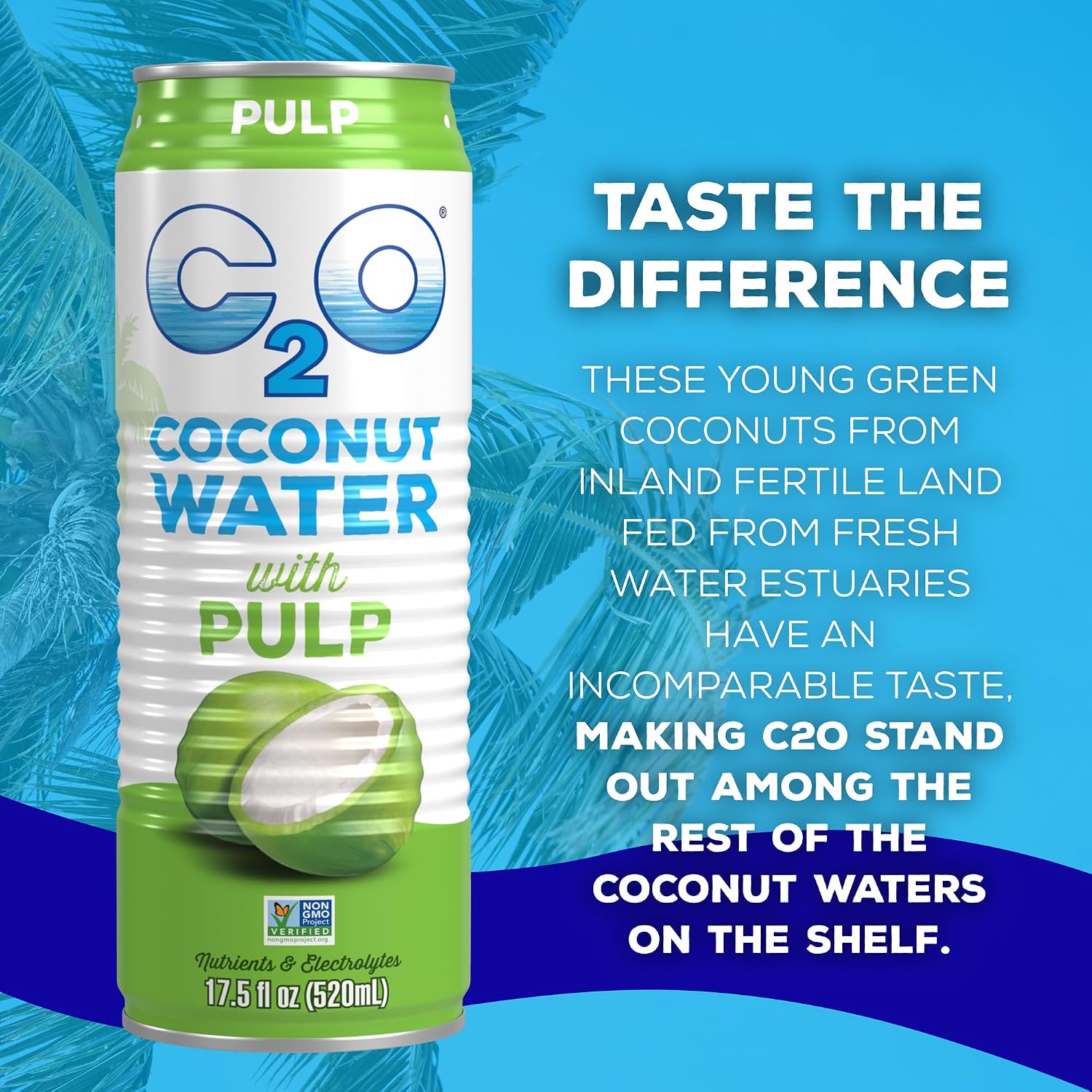 C2O - Coconut Water with Pineapple (12 Pack) - Made with Fresh Coconut Water - Plant Based - Non GMO - Canned Water - Natural Hydration, Essential Electrolytes, & Potassium - 12 Cans, 17.5 FL OZ