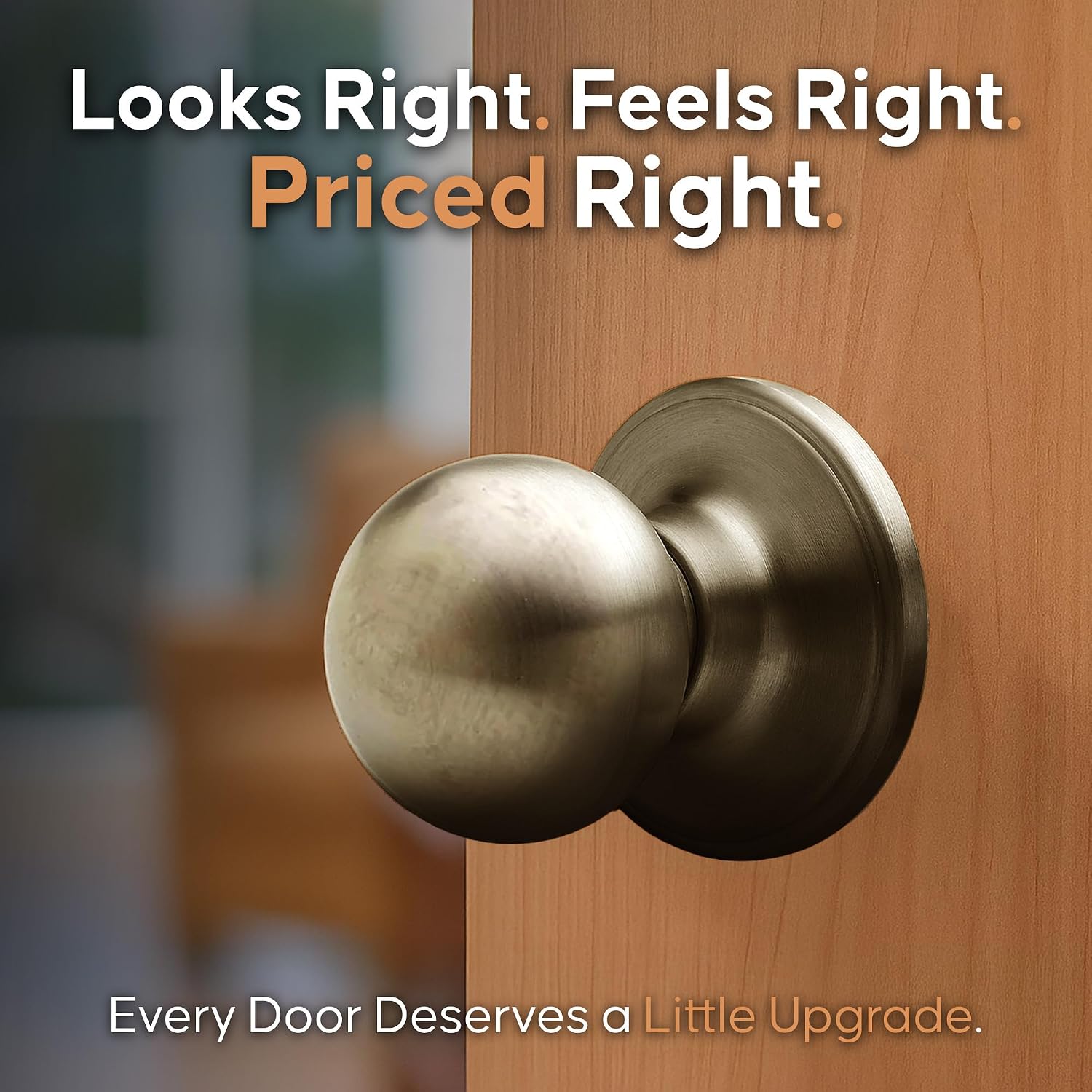 Copper Creek Privacy Interior Door Knob – ANSI Grade-3 Certified, Modern Heavy Duty Handle, Easy Install and Reversible for Bedroom, Bathroom & Closets – Satin Stainless (1 Pack)