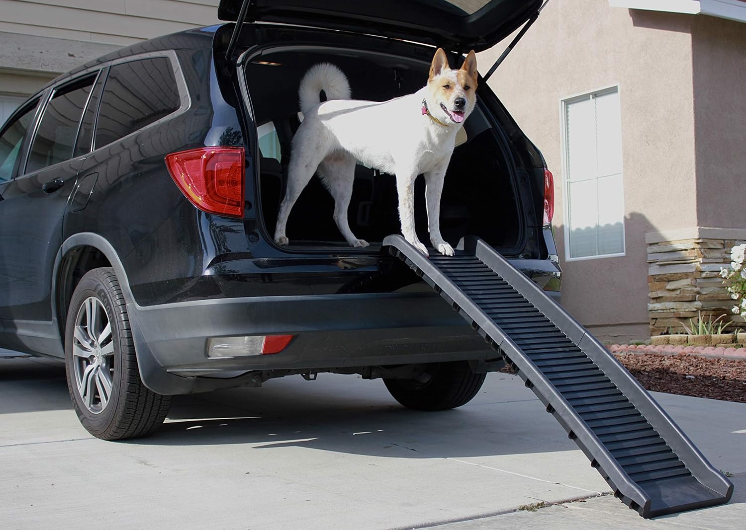 PawStep 61" Folding Pet Ramp, Portable Dog Ramp for Cars, SUVs, Beds & Couches, Lightweight PP Construction, Textured Surface