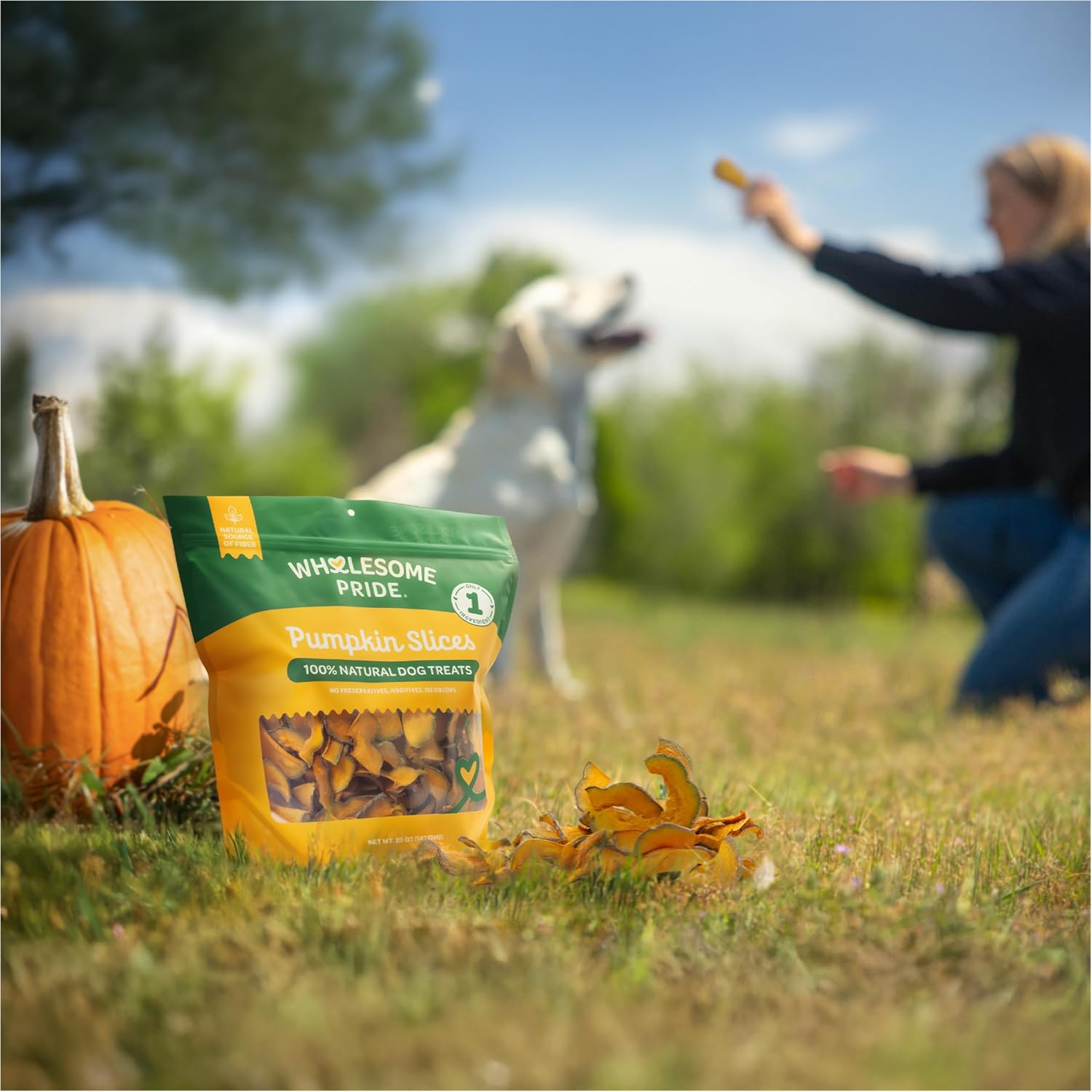 Wholesome Pride Banana Bites Dog Treats – 2-Ingredient Banana Chips for Dogs, Grain-Free, Banana & Coconut Oil, 8 oz
