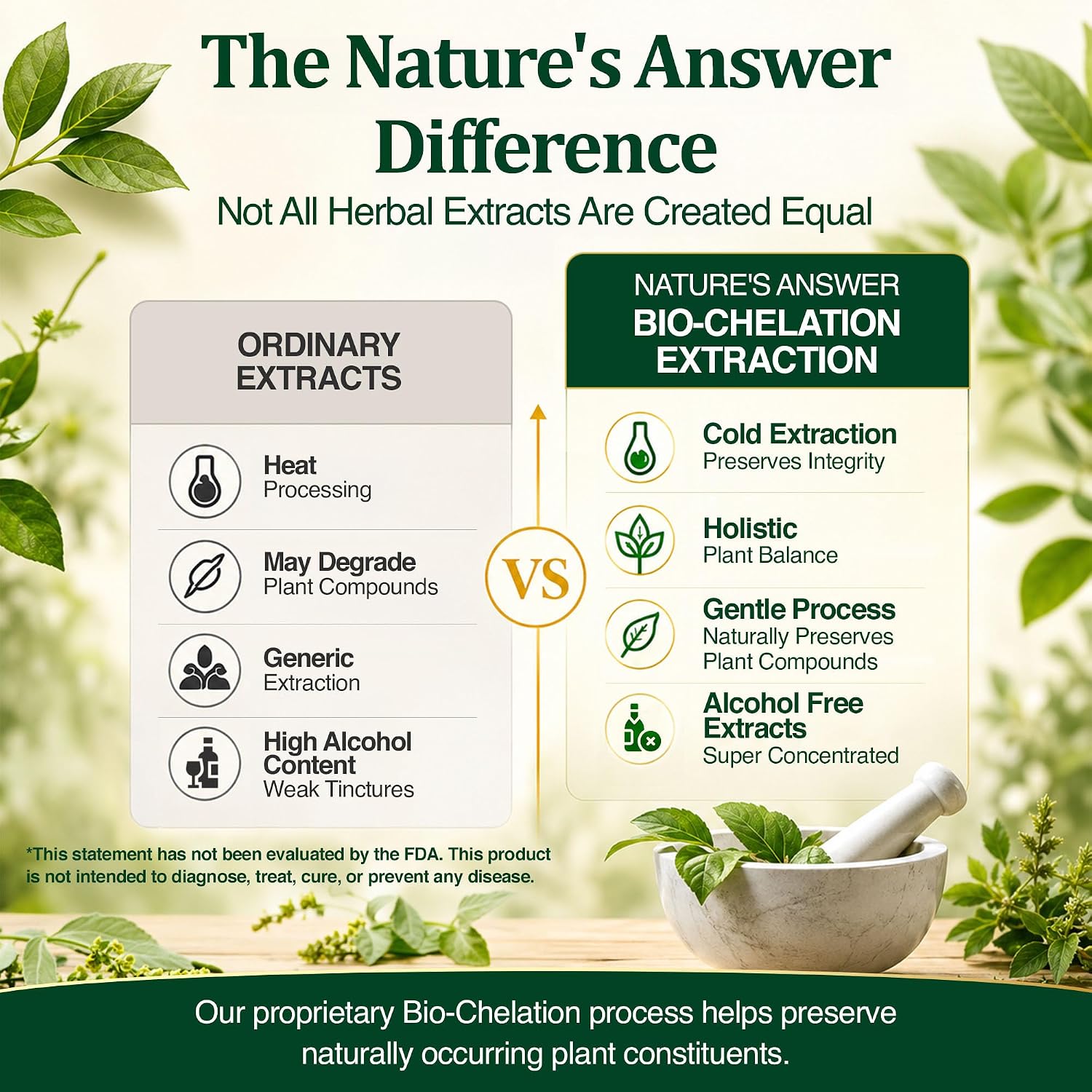 Nature's Answer Eyebright Herb | Supports Healthy Eyes & Vision | Non-GMO | Alcohol-Free, Gluten-Free, Kosher Certified