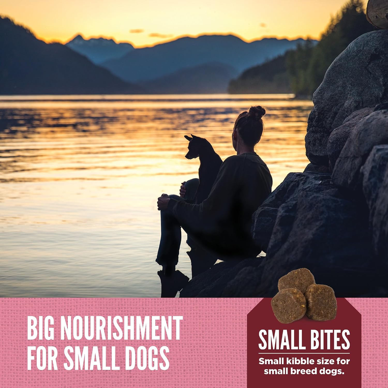 ORIJEN Grain Free WHOLEPREY Dry Dog Food Small Breed Recipe 10lb Bag