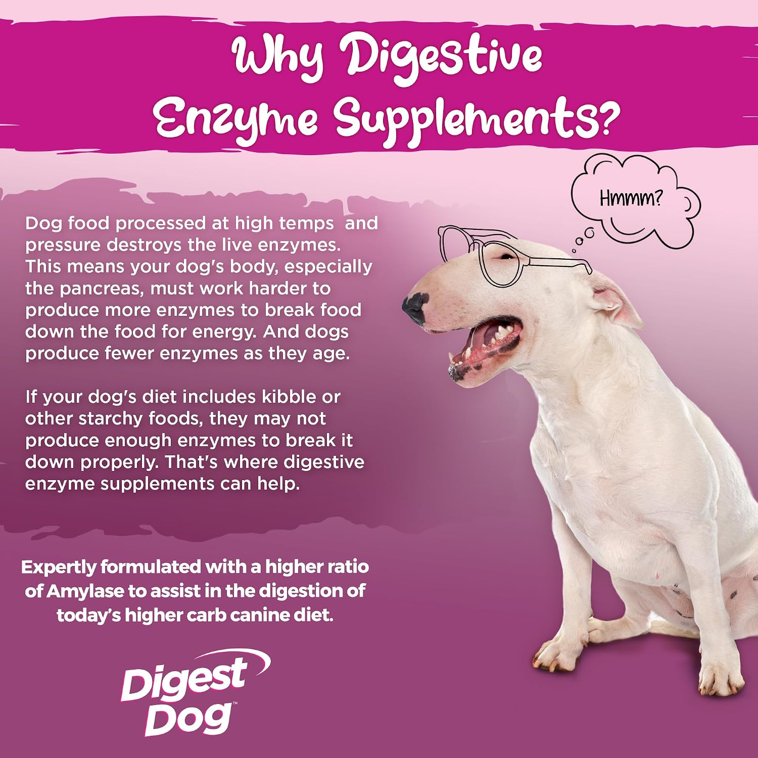 Vital Planet - Digest Dog Digestive Pancreatic Enzyme Blend with Pumpkin and Fennel to Support the Pancreas and Healthy Digestion with Pancreatin