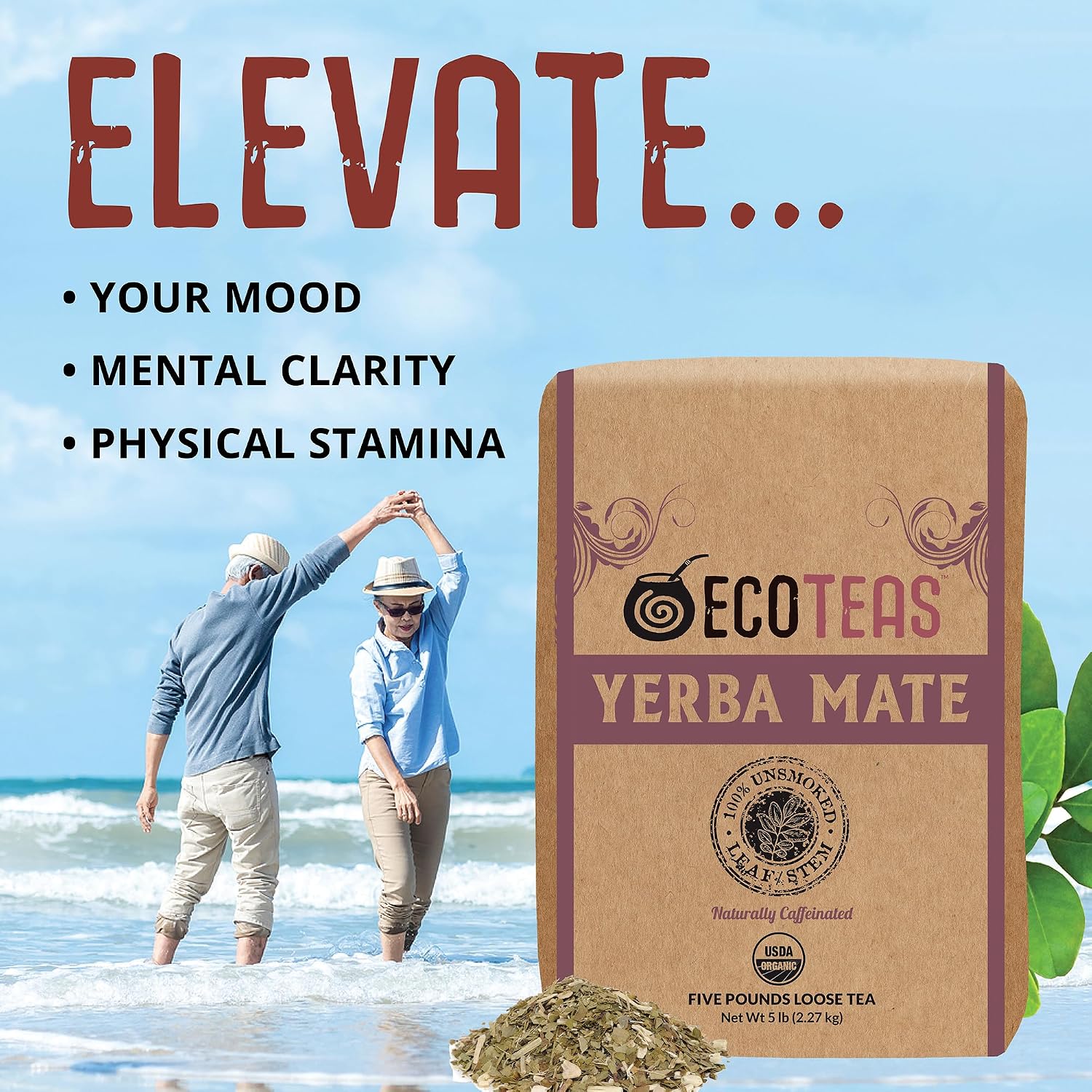 ECOTEAS Organic Yerba Mate Loose Tea Traditional Cut 5 lb Bulk Value Bag | 5 lb bulk traditional cut with stems and powder