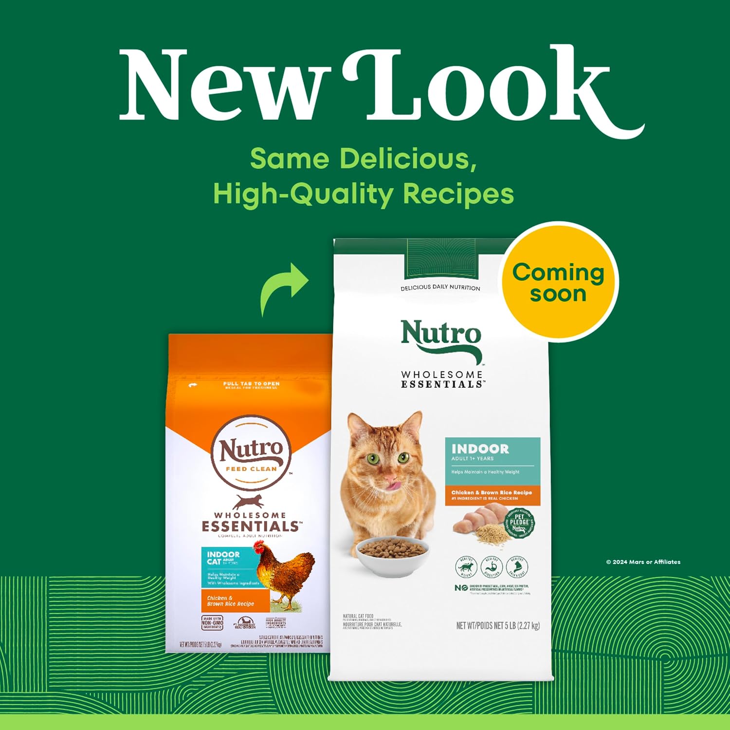 Nutro Wholesome Essentials Indoor Adult Dry Cat Food, Chicken & Rice, 14 lb | Real chicken #1 ingredient, natural prebiotic fiber for digestion, Vitamin E & Selenium antioxidants, supports whole body