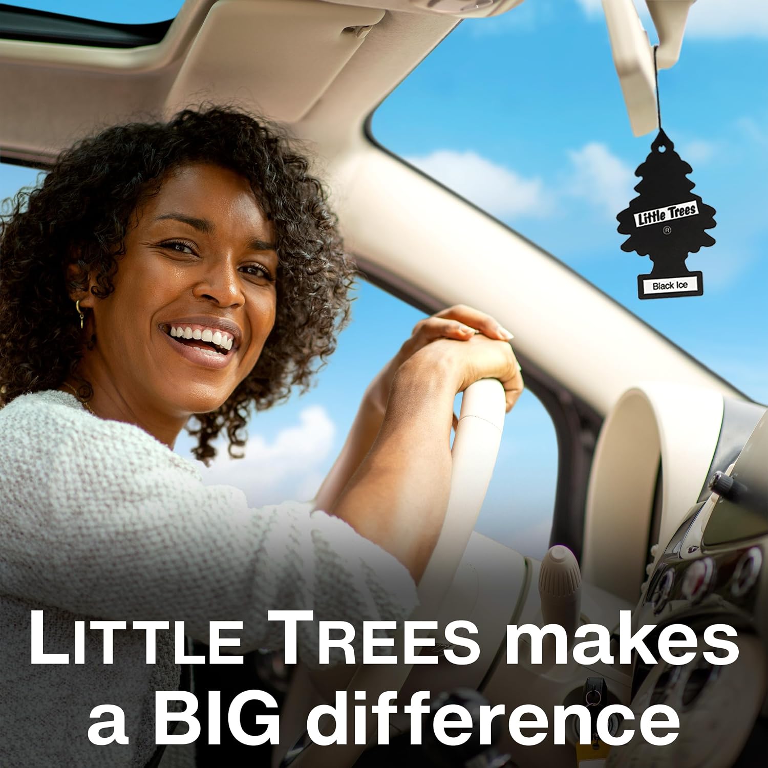 LITTLE TREES Car Air Freshener | Hanging Tree Provides Long Lasting Scent for Auto and Home | Royal Pine, 24 Air Fresheners