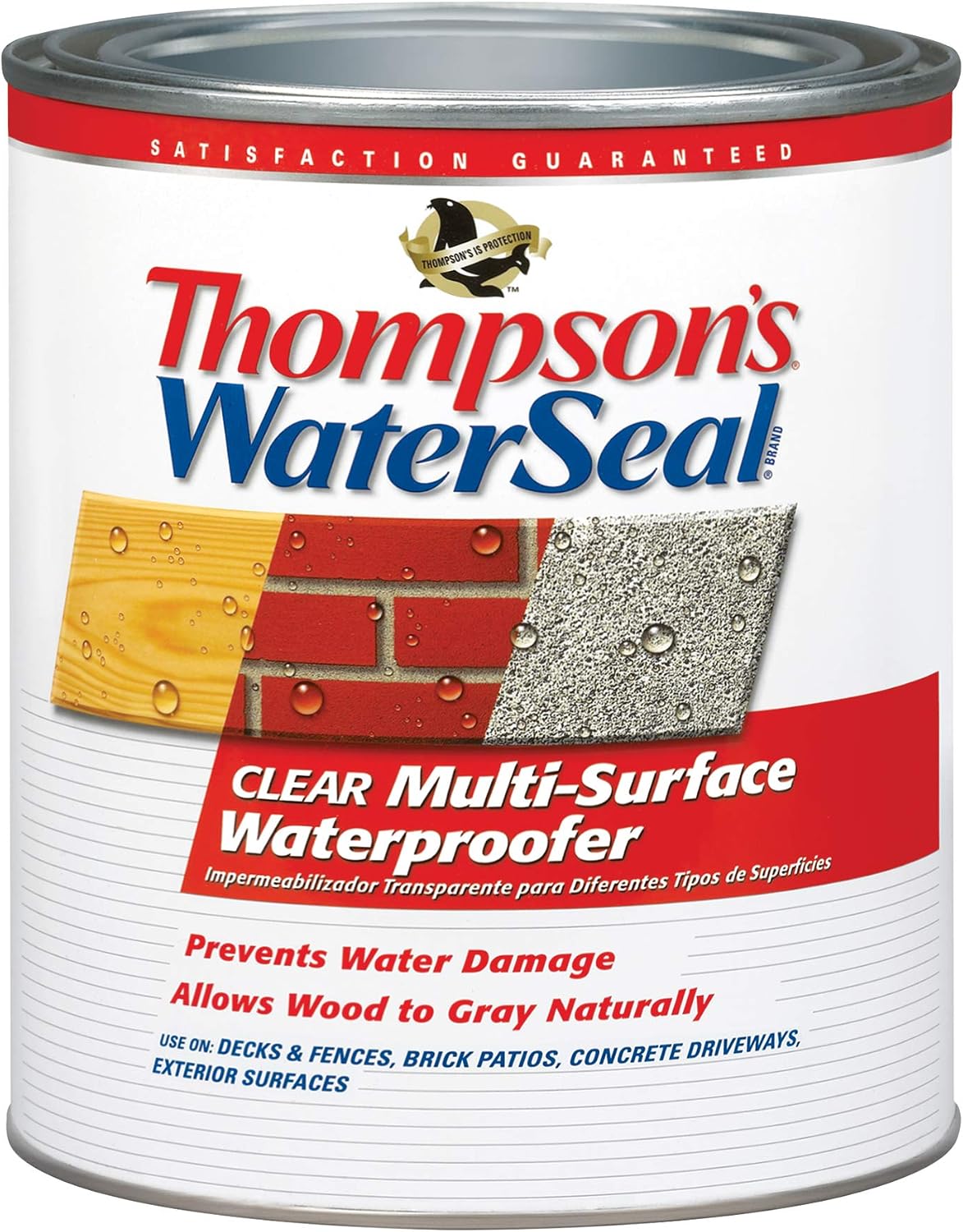 Thompson’s WaterSeal Multi-Surface Waterproofer Stain, Clear, 1 Gallon