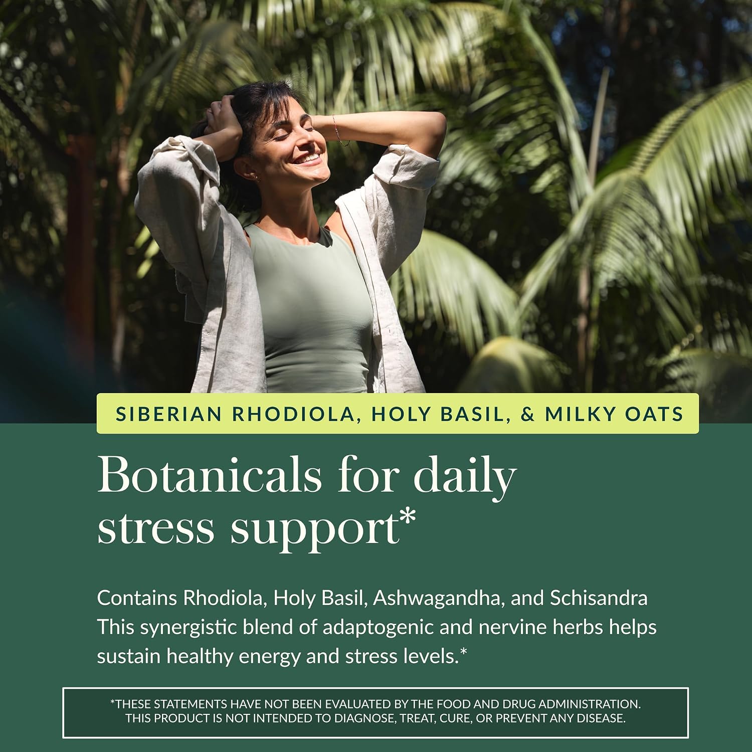 Gaia Herbs Adrenal Health Daily Support - Herbal Supplement with Ashwagandha, Holy Basil & Schisandra - Help Maintain Healthy Energy & Stress Levels* - 60 Vegan Liquid Phyto-Caps (30 Servings)