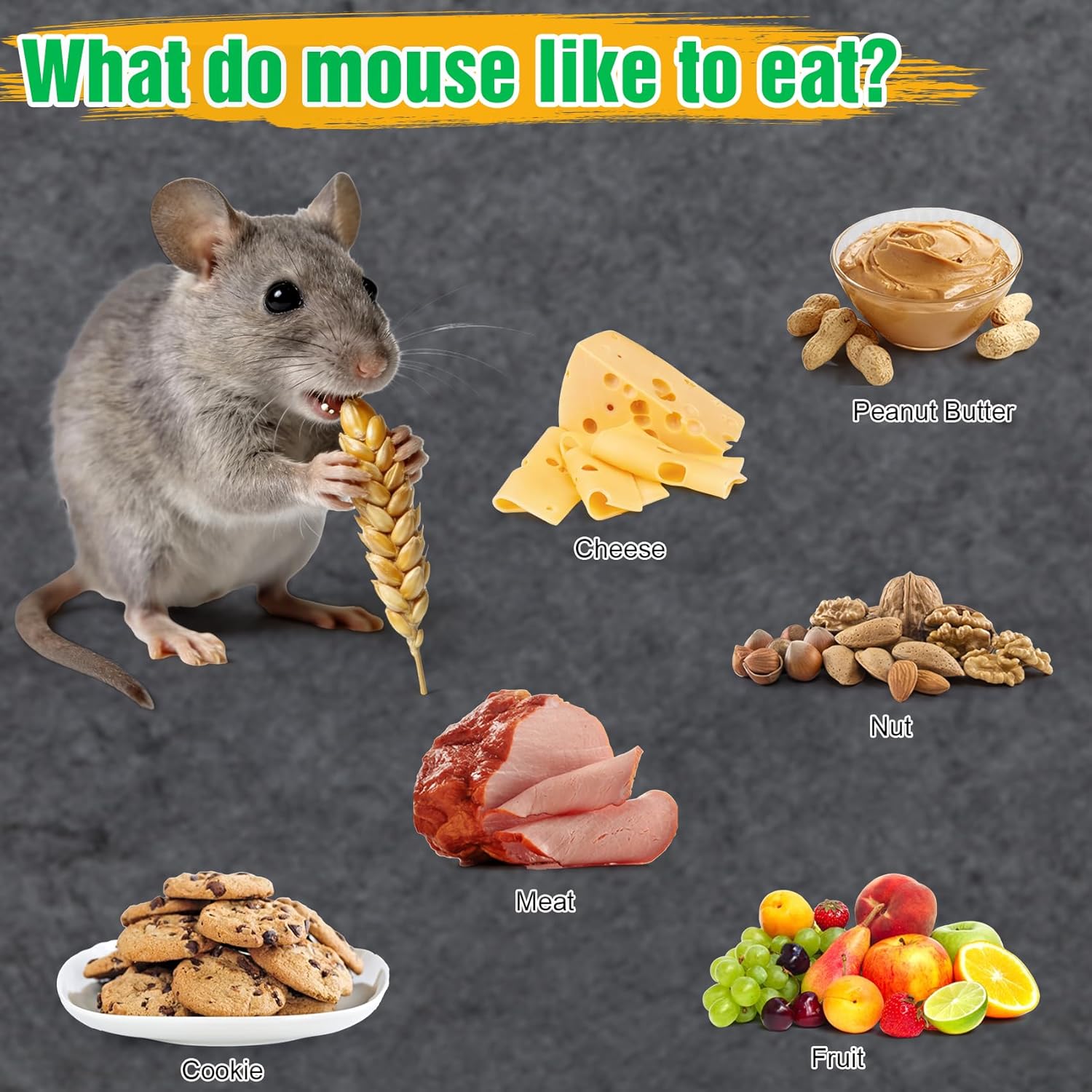 4 Pcs Humane Live Mouse Traps No Kill Reusable Mice Trap Catch
