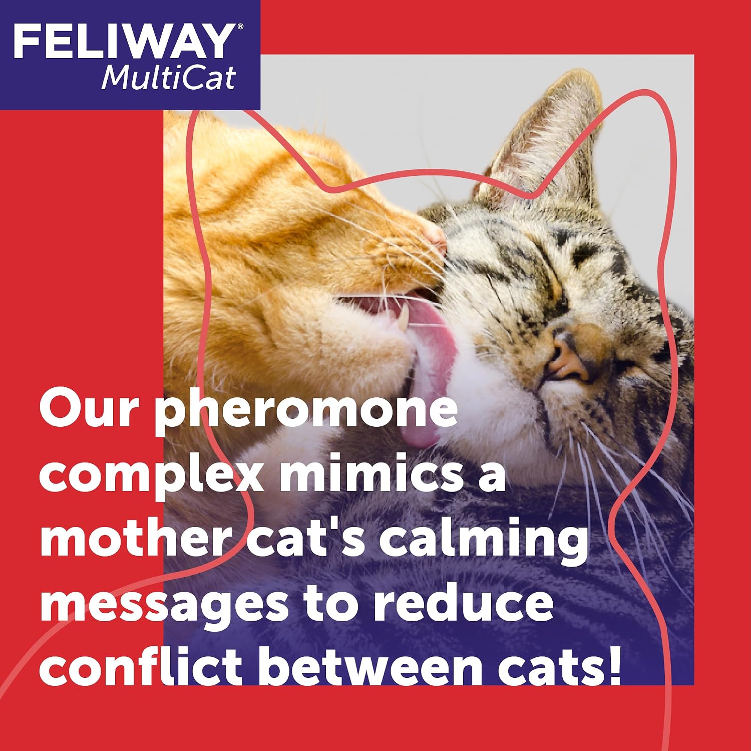 FELIWAY MultiCat Cat Calming Pheromone Diffuser Kit | Helps Reduce Fighting, Tension and Aggression Between Cats due to Stress for Multi‑Cat Homes, 30 Day Supply