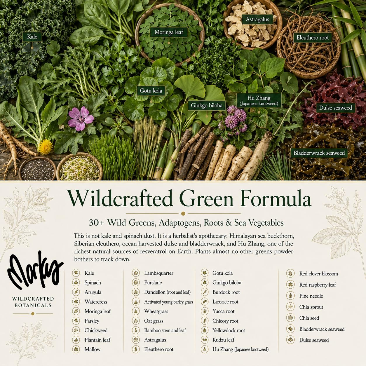 Wild Force GreenPro-C (Pre-Mixed Greens, Protein, and Vitamin C Powder)