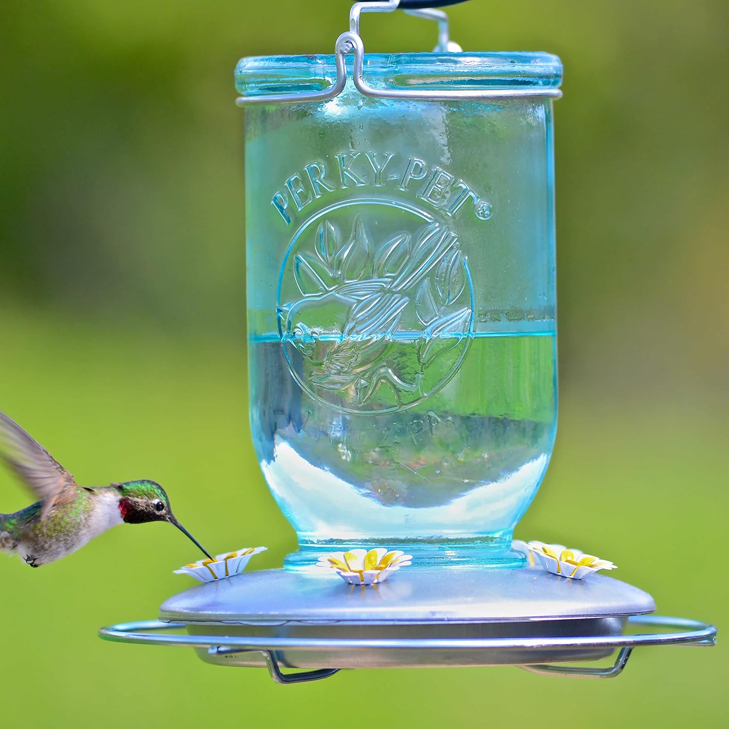 Perky-Pet Mason Jar Hummingbird Feeder, 32 oz Nectar Capacity | Vintage Style Glass Bird Feeder, 5 Flower Feeding Ports, Outdoor Garden Backyard Wildlife