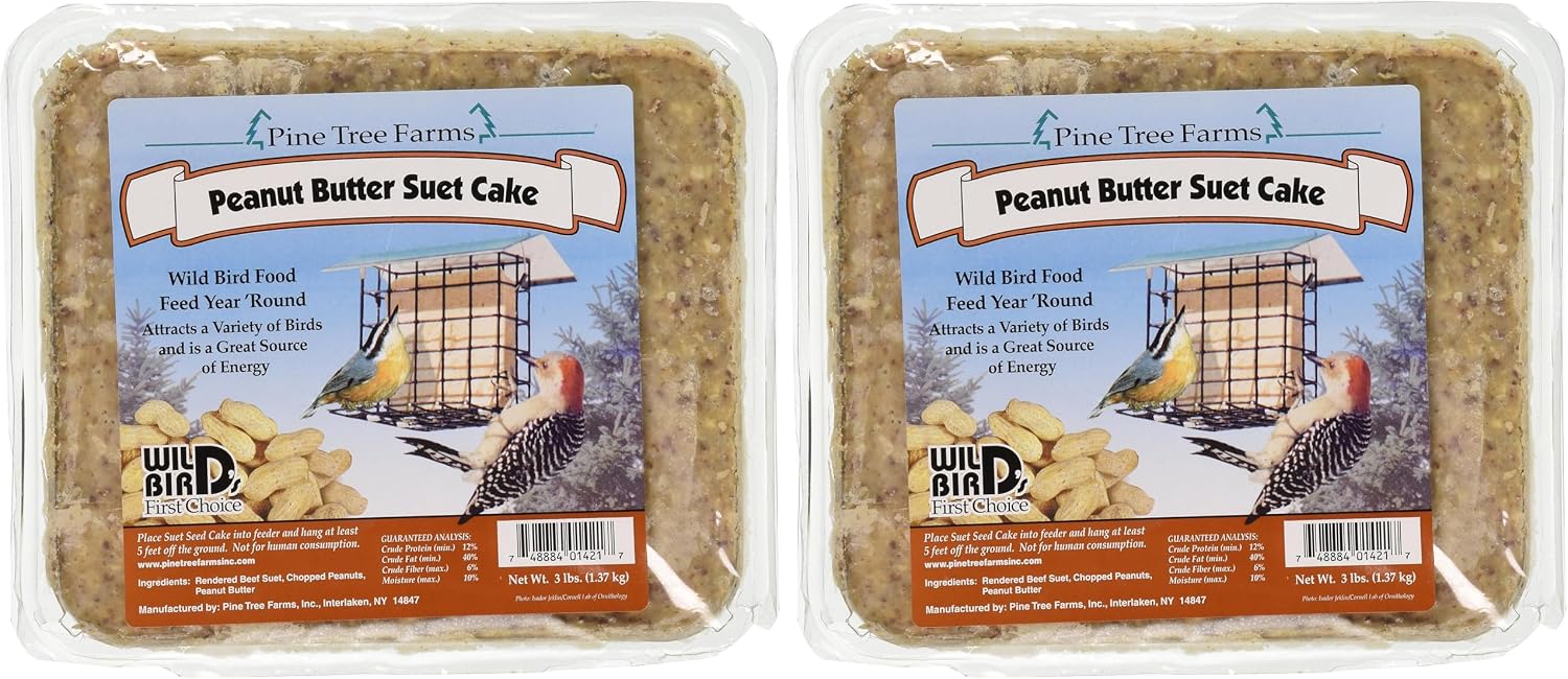 Pine Tree 1421 Peanut Butter Wild Bird Suet Cake, 3-Pound