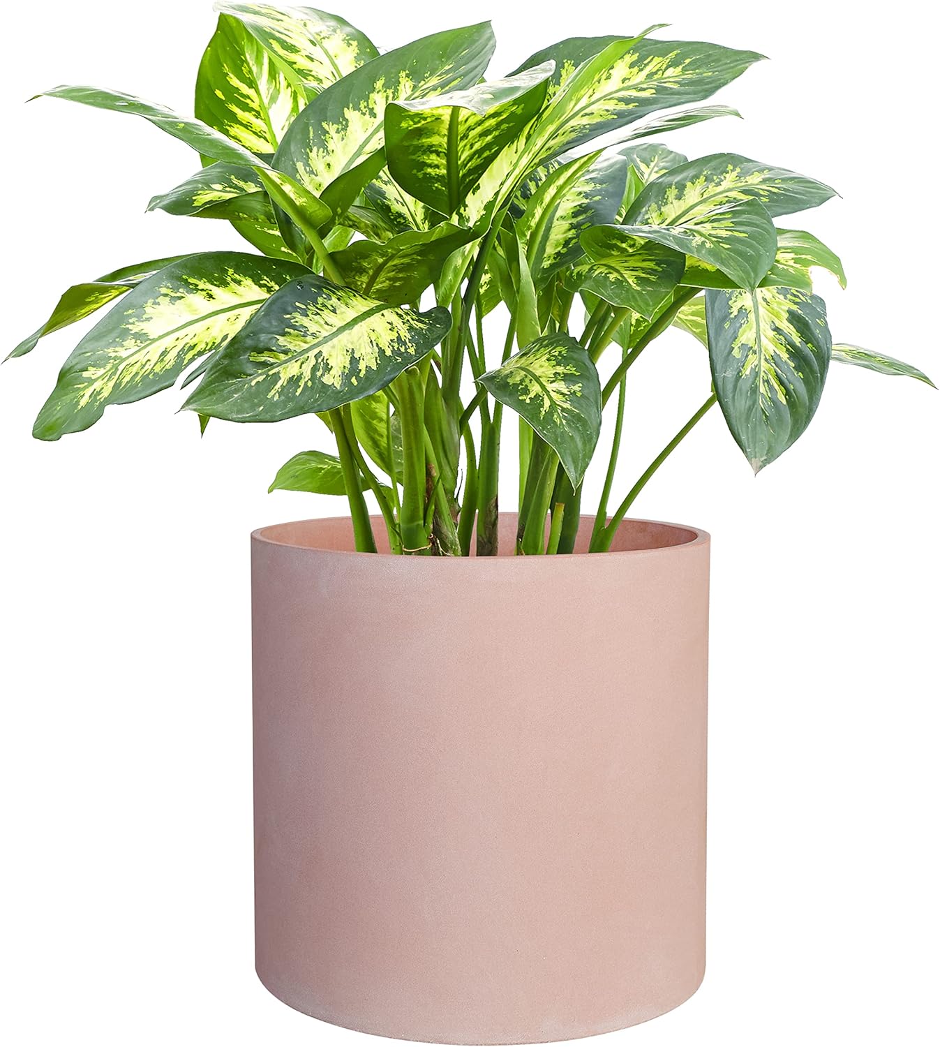 FaithLand 14 Inch Fiberstone Planter - Lightweight Modern Cylinder Plant Pot with Drainage Hole & Plug, Indoor Outdoor Use, Matte White