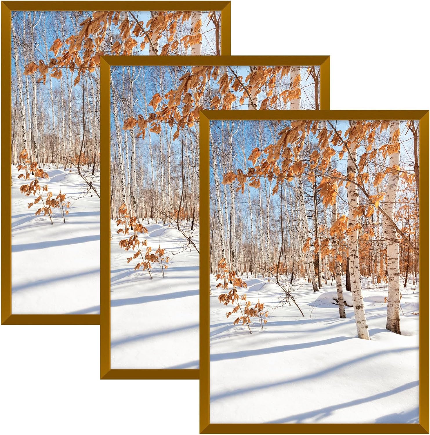 Golden State Art 3 Pack 12x12 Black Aluminum Frames, Real Glass Fronts