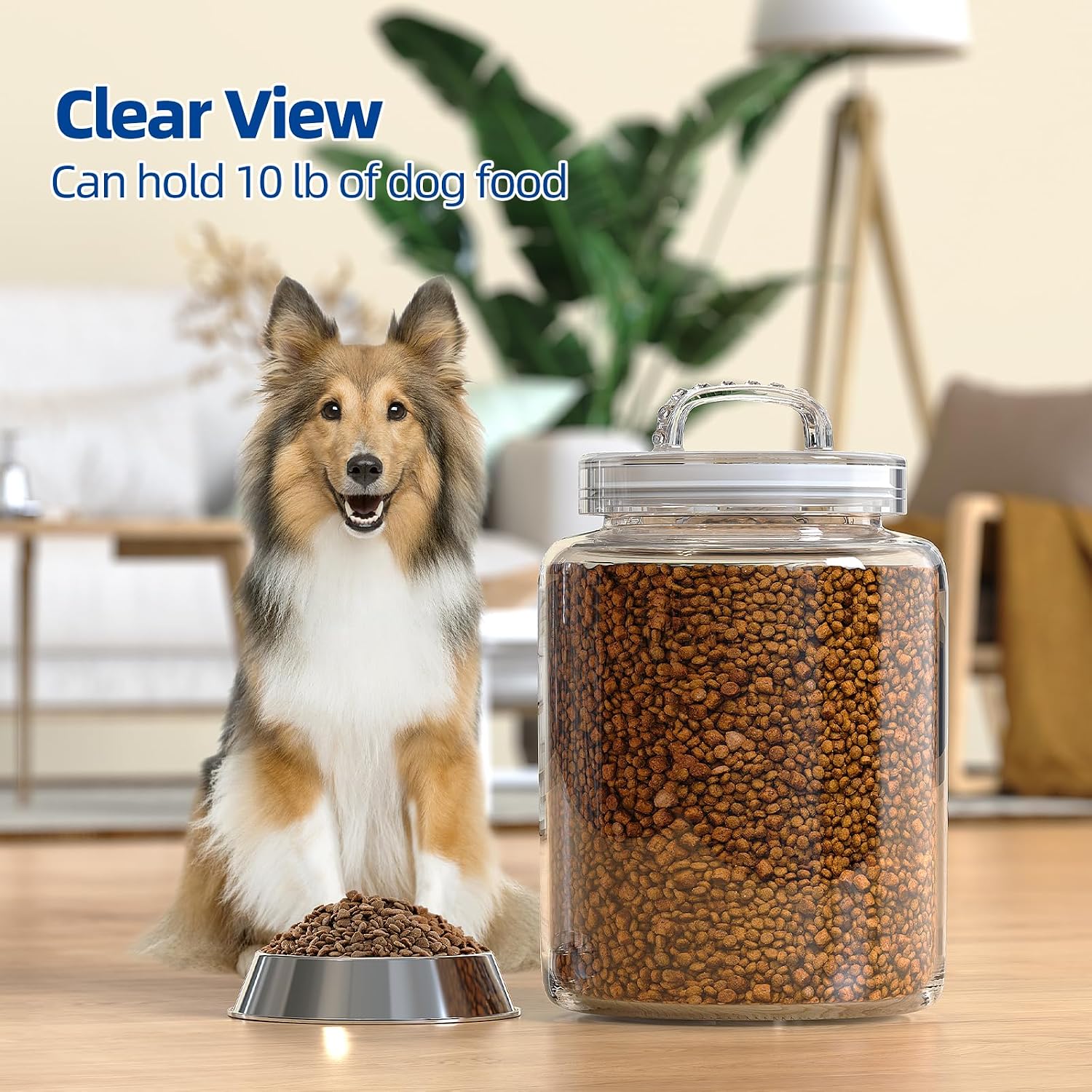 3 Gallon Glass Jar with Airtight Lid, Wide Mouth Large Glass Container