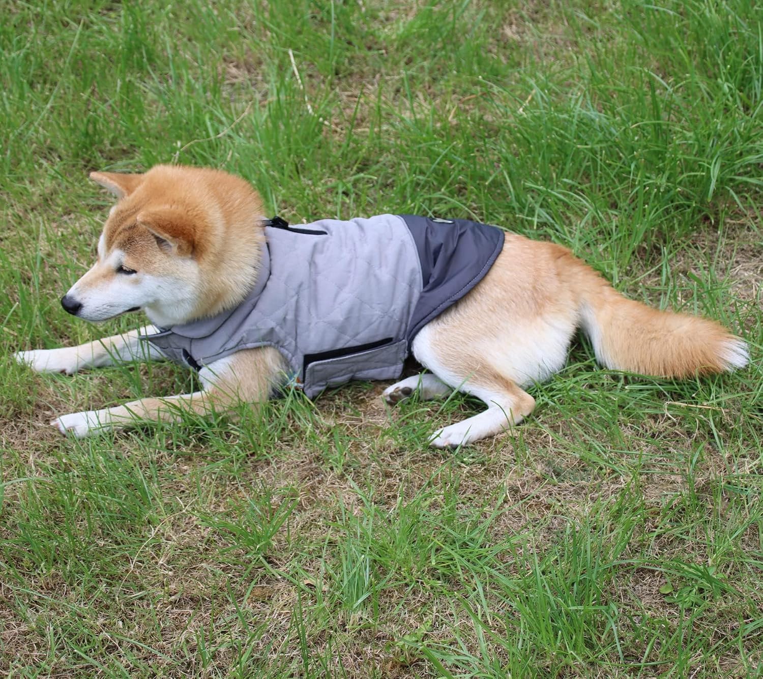 Vecomfy Reversible Dog Coat for Small Dogs with 2 Leash Openings