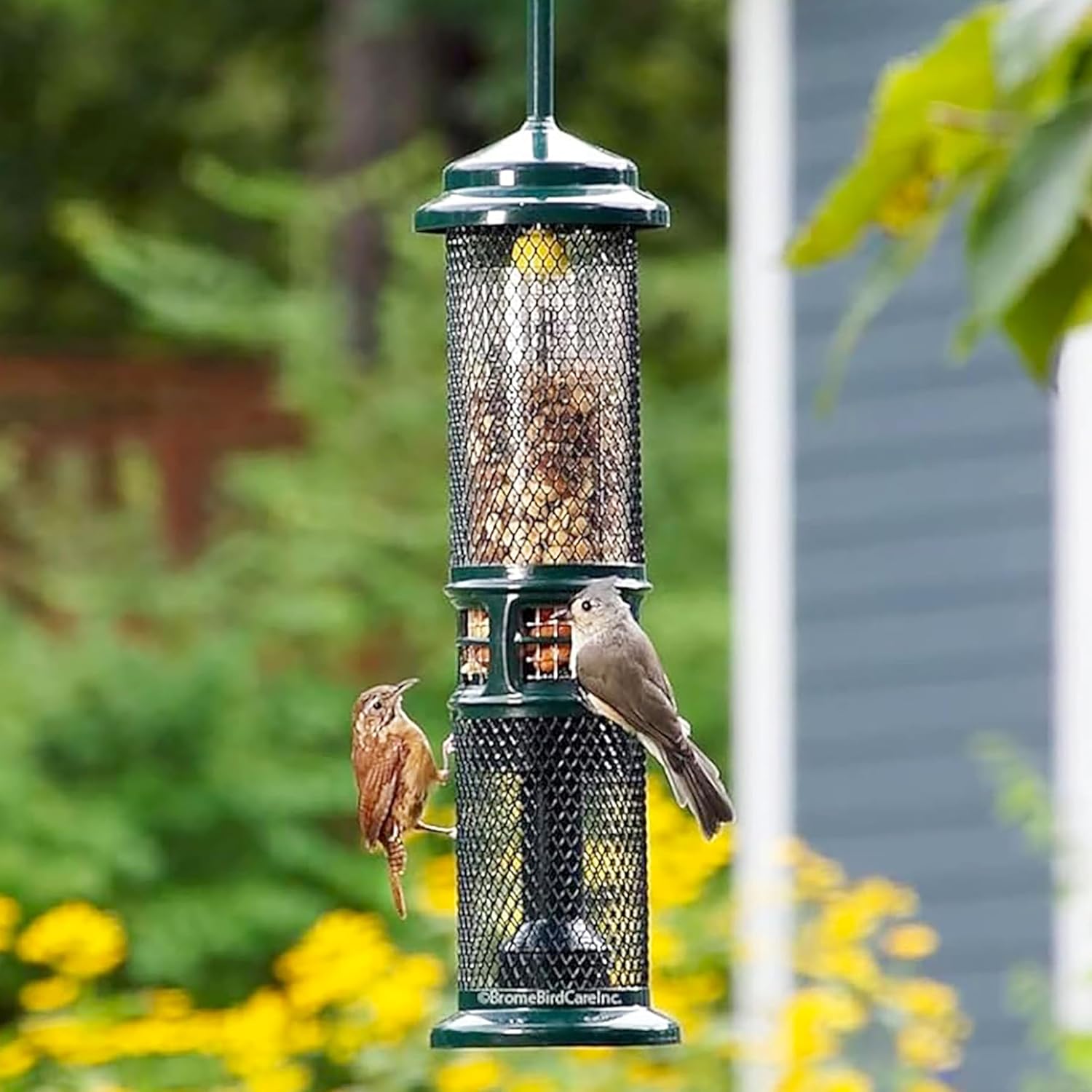 Squirrel Buster Nut Feeder Squirrel-Proof Bird Feeder for Shelled Peanuts & Dried Fruit, Weight-Adjustable, Woodpecker Friendly