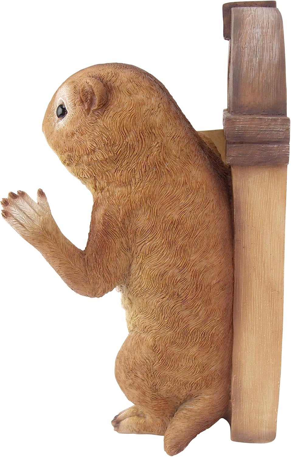 Design Toscano Squirrel Statue: Grandmother