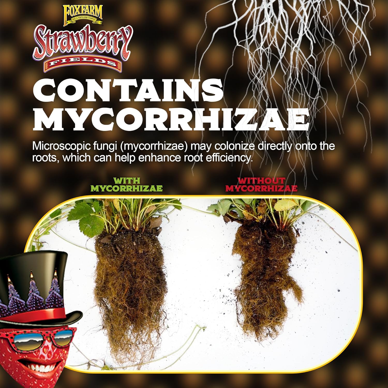 FoxFarm Strawberry Fields Fruiting & Flowering Potting Soil, 1.5cu ft - Designed to Pump Up Your Blooms, Fruits, and Berries - Made for the Fruiting and Flowering Stages of Plants