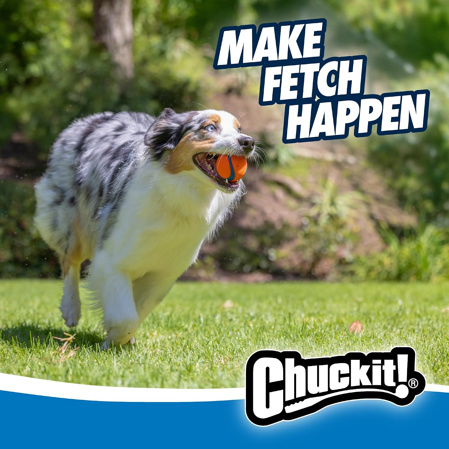 Chuckit! Ultra Ball Dog Toy, Balls for Dogs to Fetch, Durable Rubber, Small 2-inch, Pack of 2