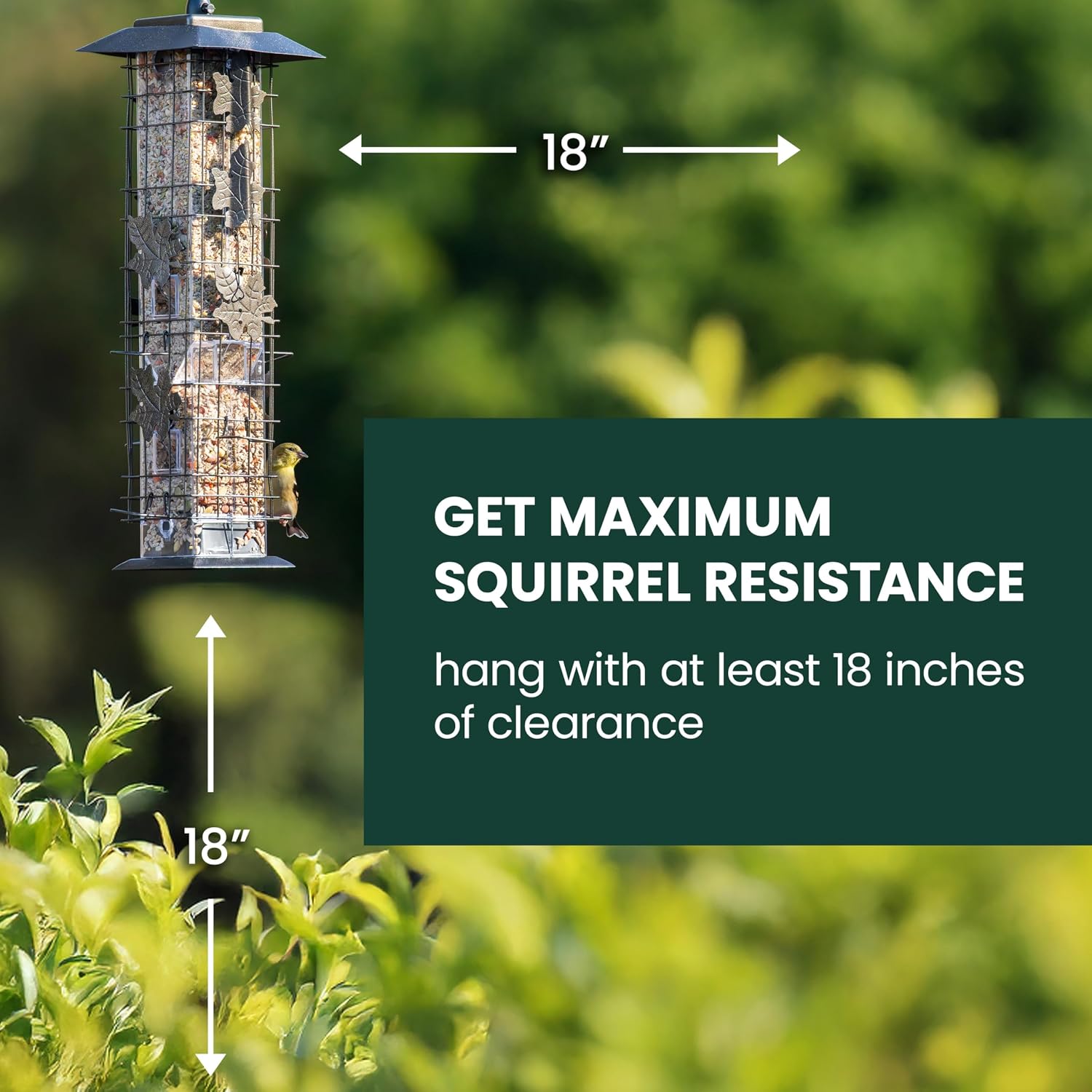 Perky-Pet Squirrel-Be-Gone Bird Feeder, 2 lb Seed Capacity | Weight-Activated Squirrel Proof Bird Feeder