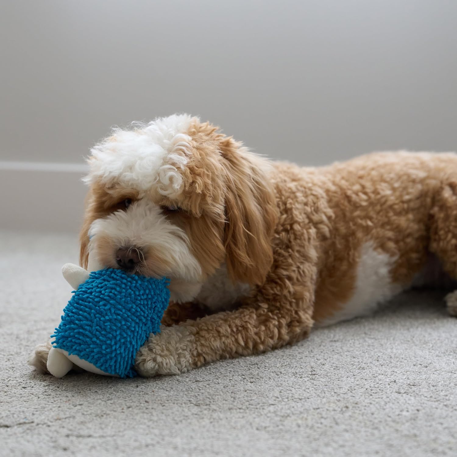 SPOT Gigglers Hedgehog Dog Toy with Giggle Sound | Textured, Plush Shake and Wiggle Hedgehog Giggle Toy for Small and Medium Dog Breeds