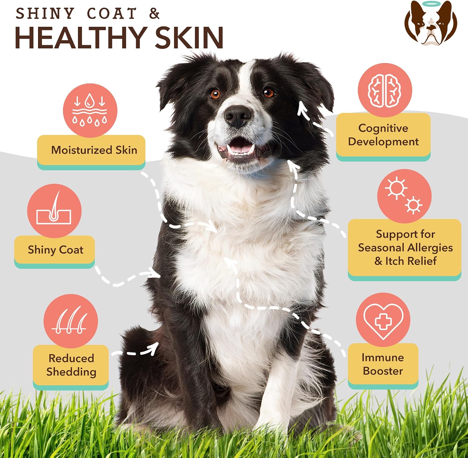 Natural Dog Company Liquid Glucosamine Hip & Joint Oil for Dogs, 16 oz, Extra Strength Cartilage & Joint Support, Helps Mobility and Eases Occasional Stiffness, Dog Vitamins & Supplements