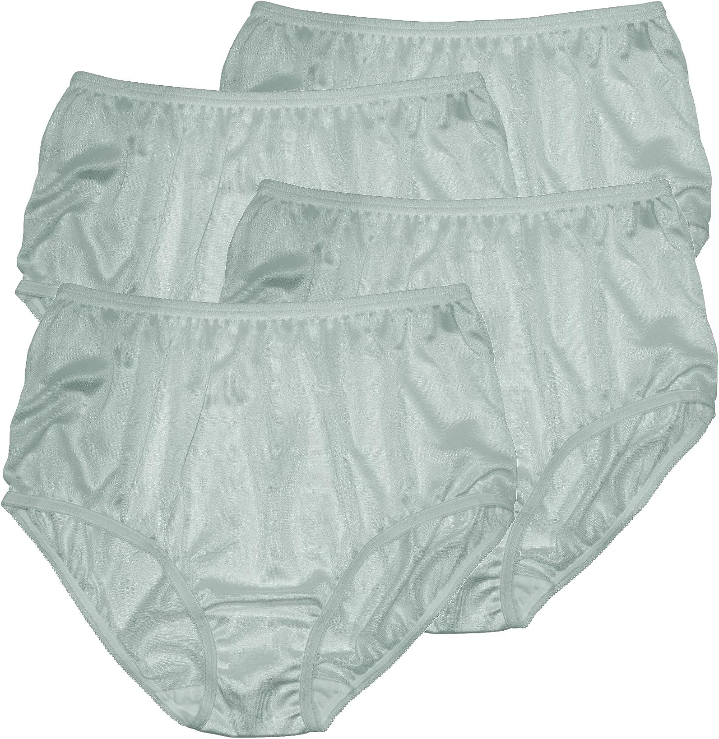 Teri Women's 331 Plain Jane Classic Nylon Silky-Smooth Lightweight Breathable Full Coverage Brief Panty - 4 Pack