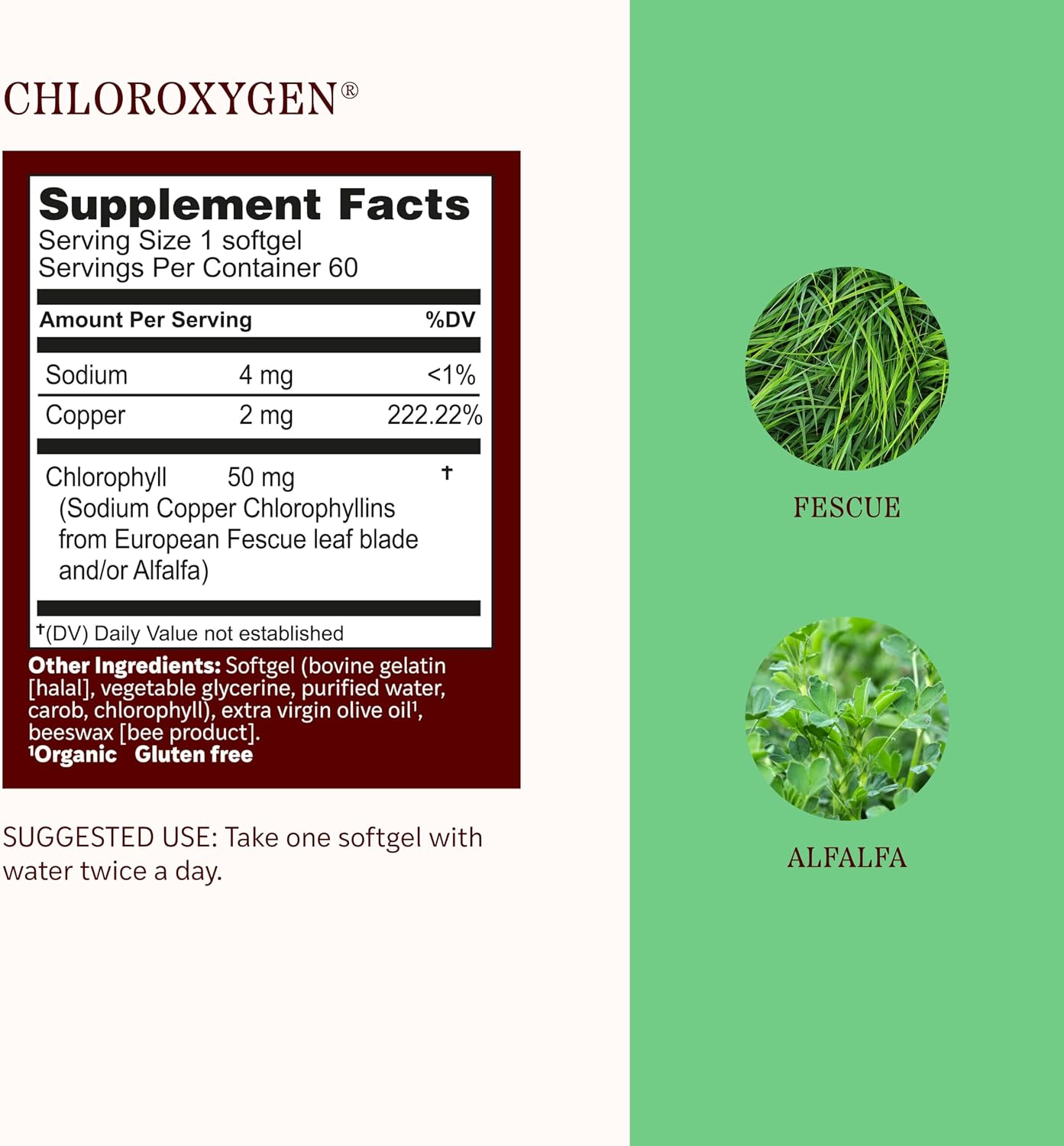 Herbs Etc. ChlorOxygen Chlorophyll Concentrate Softgels - High-Potency Chlorophyll for Detoxification Support - Deodorizing - Skin, Gut & Energy Support - 60 Count (60 Servings)